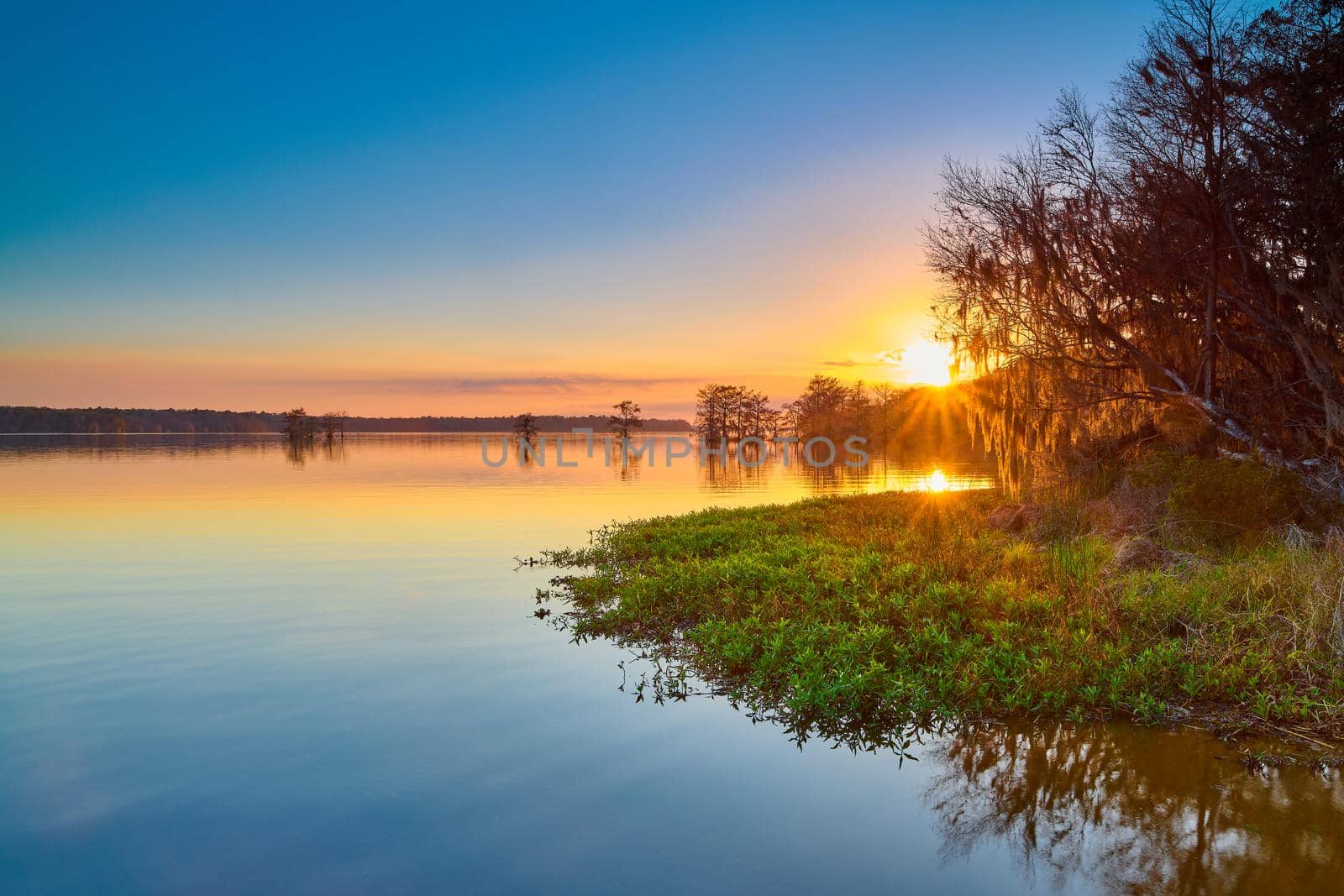 Sunset at Lake Talquin State Park near Tallahassee, FL. by patrickstock