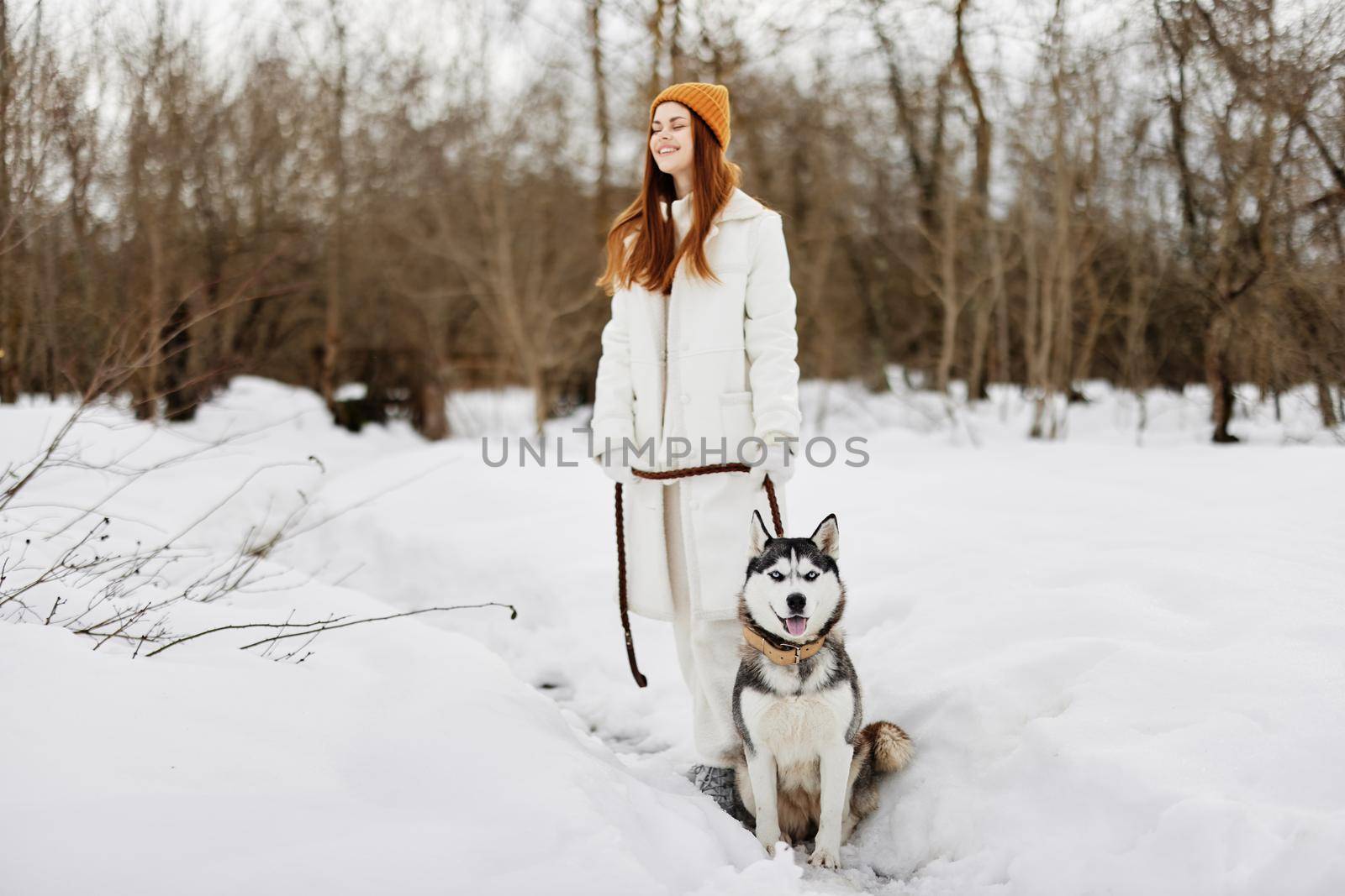 beautiful dog on a leash winter landscape walk friendship Lifestyle. High quality photo