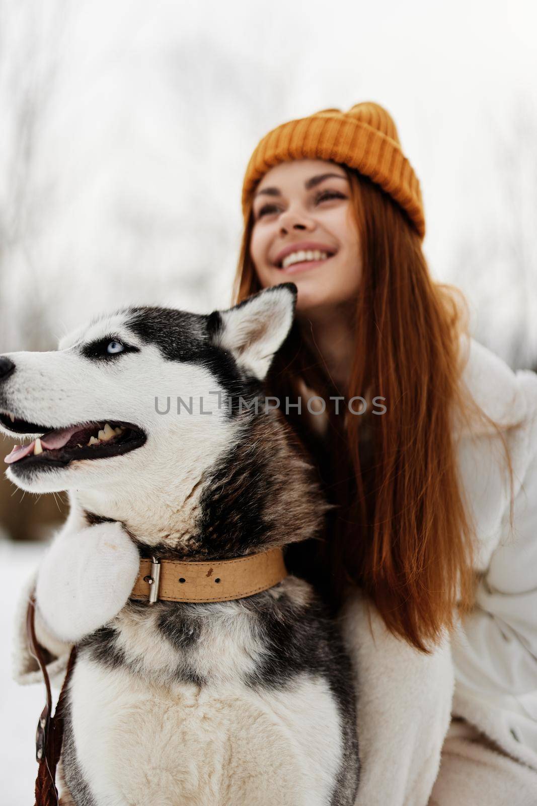 woman with a purebred dog on the snow walk play rest Lifestyle by SHOTPRIME