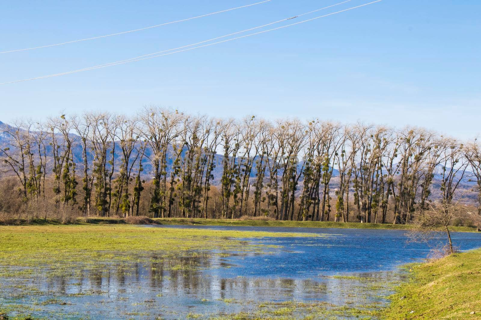 Trees and lake landscape and view in Georgia, spring landscape