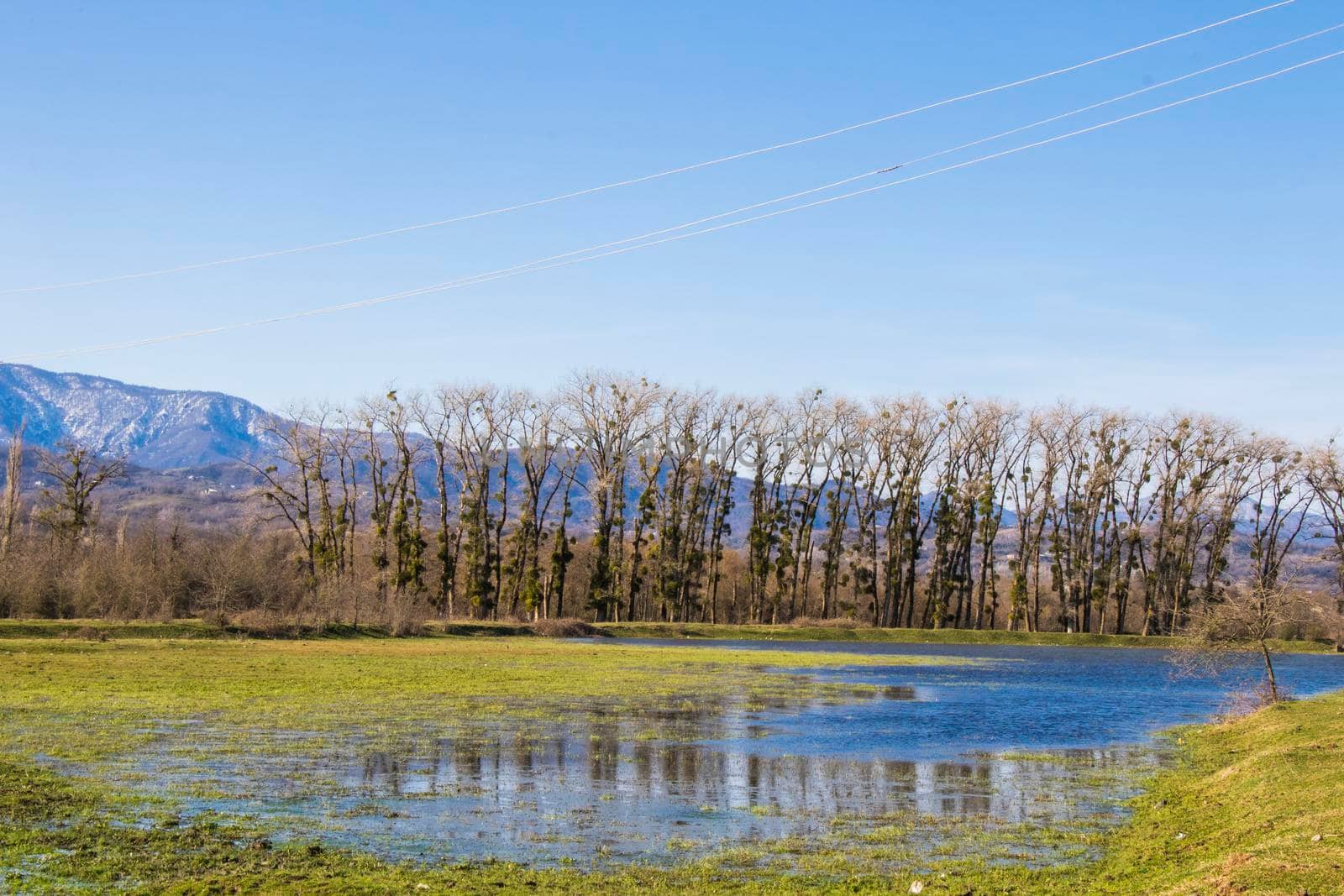 Trees and lake landscape and view in Georgia by Taidundua