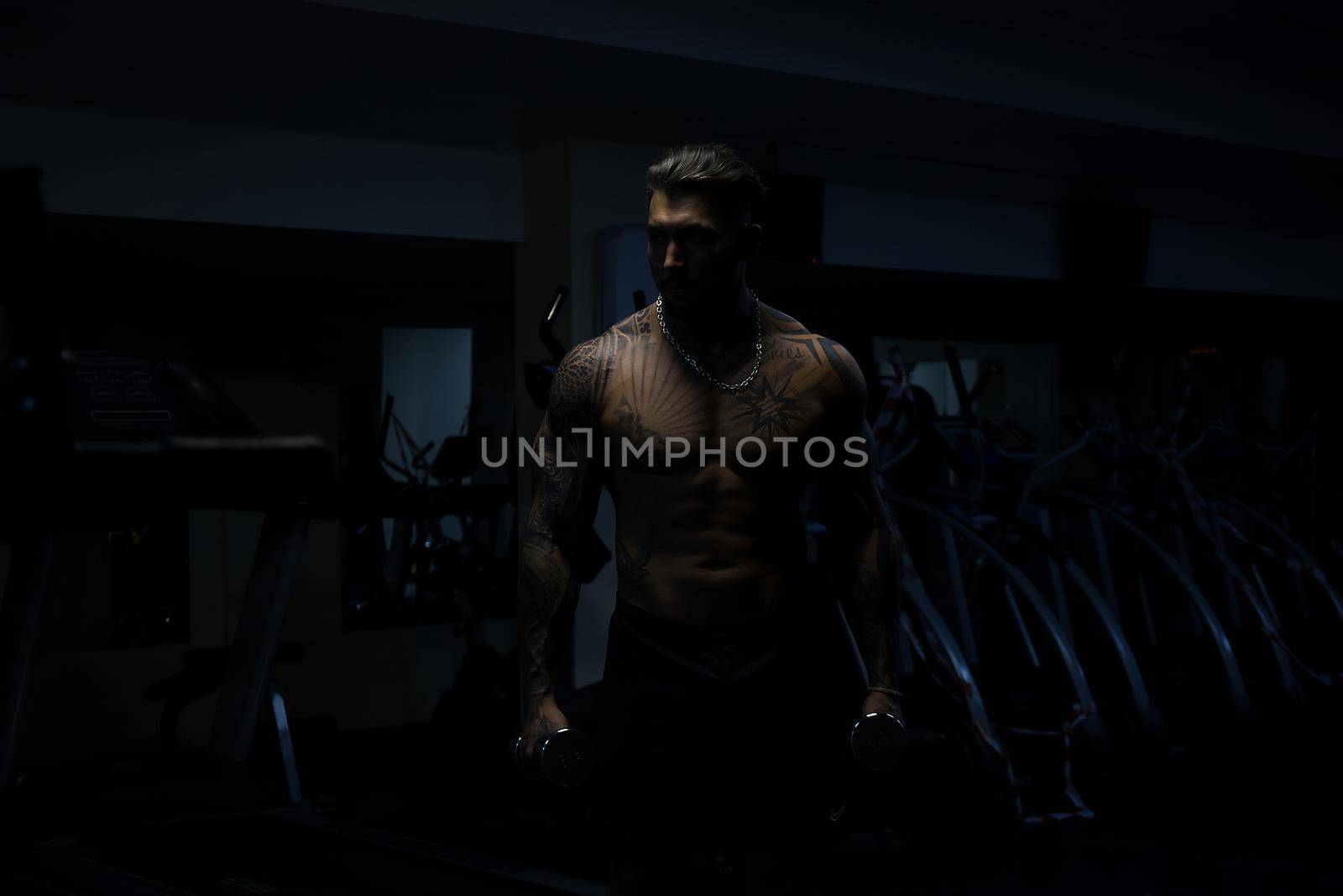 Strong male bodybuilder doing exercises with dumbbells by 3KStudio