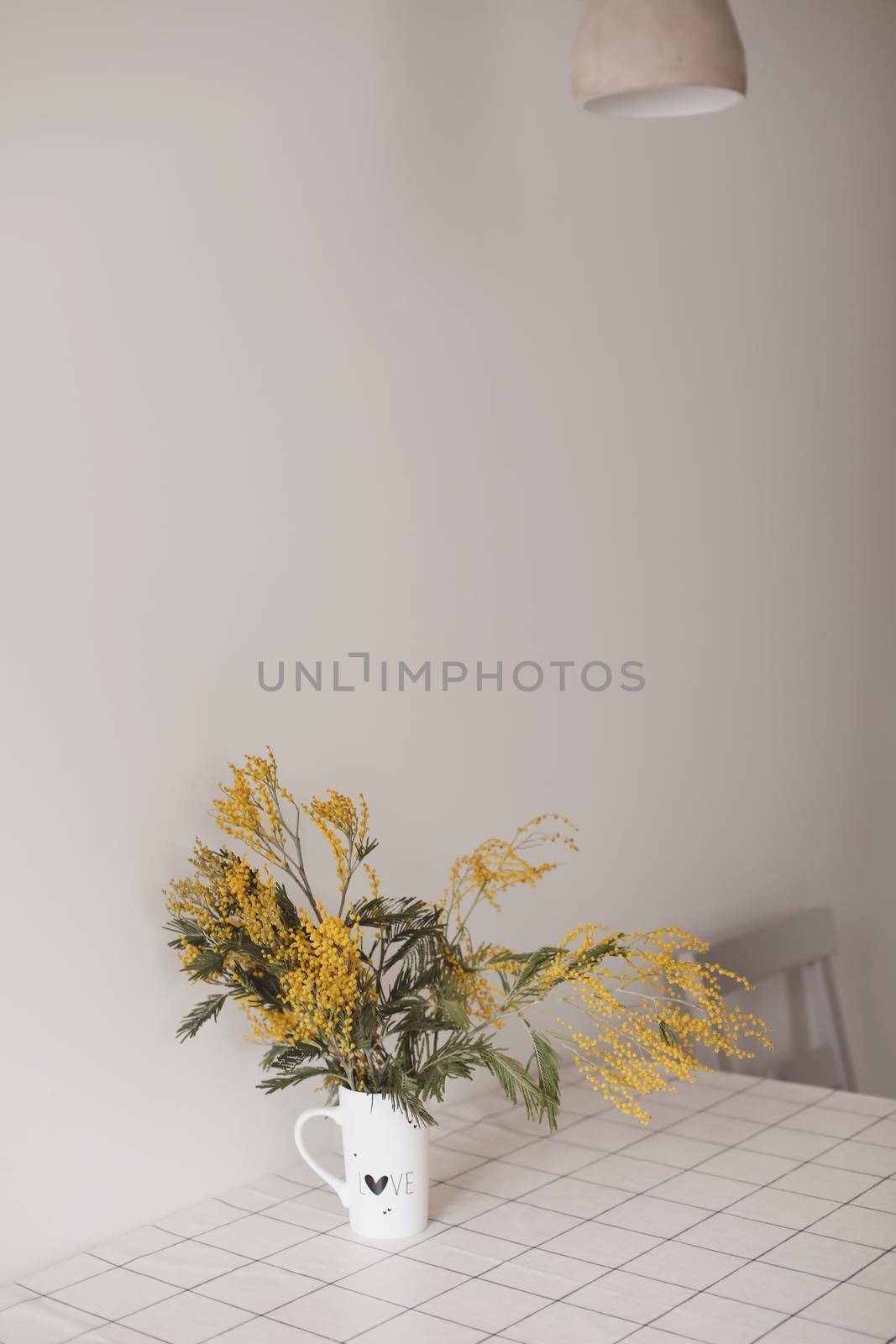 Spring flowers composition. Yellow mimosa flowers on white background in home interior.