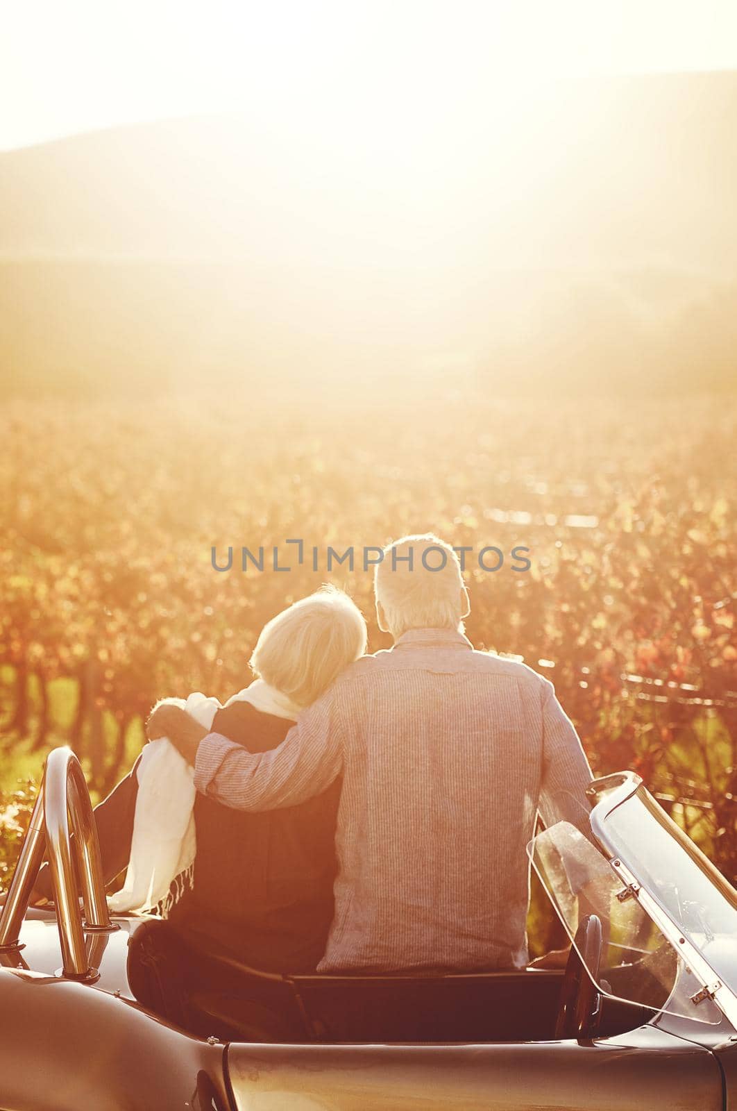 Rearview shot of a senior couple looking out over the winelands.