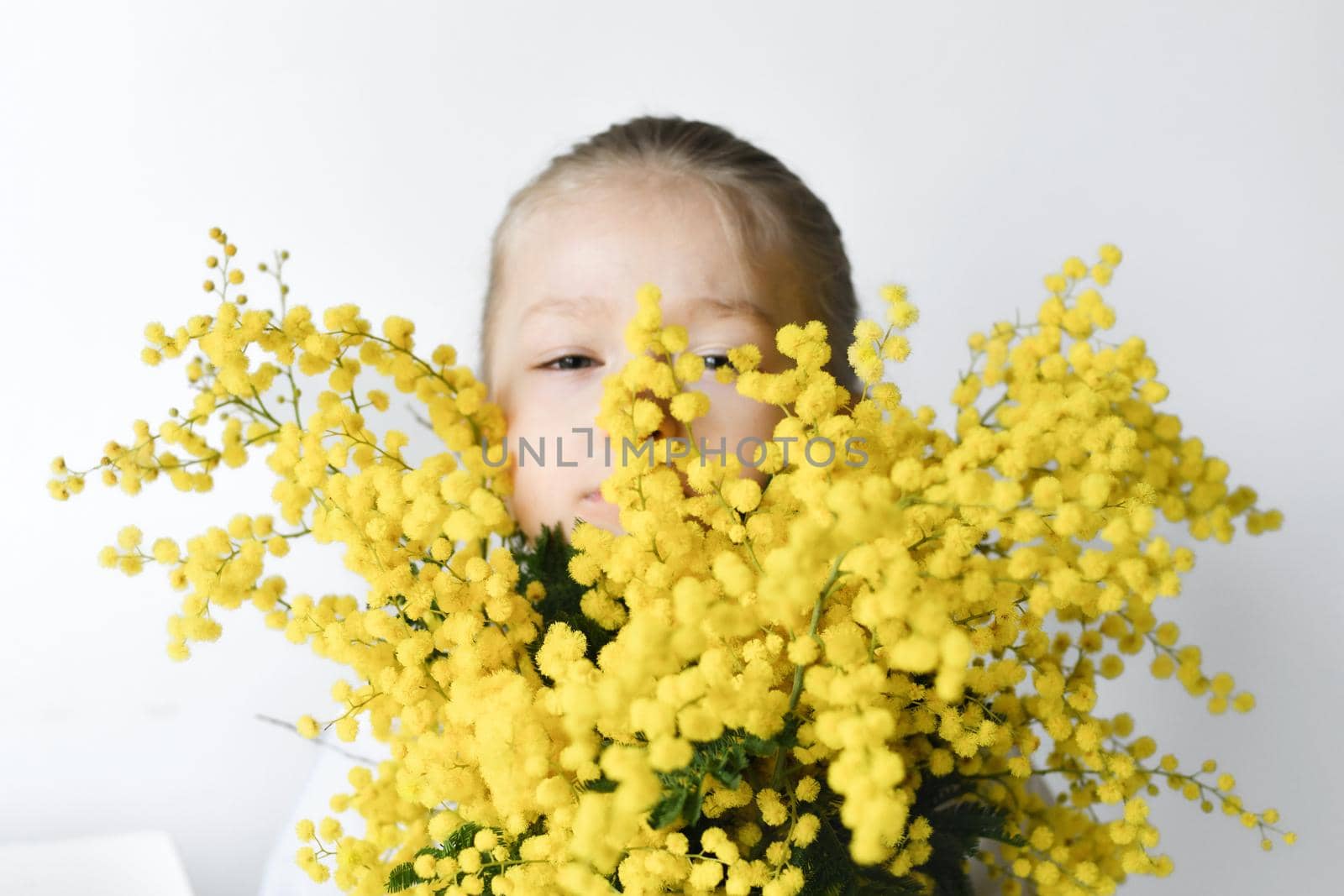 A girl holding mimosa on a white wall background