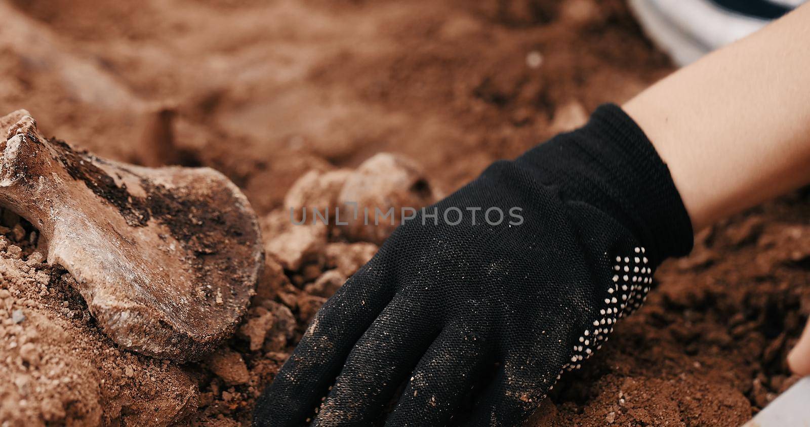 Archaeological excavations at the crime scene, Human remains in the ground. War crime scene. Site of a mass shooting of people. Human remains - bones of skeleton, skulls by EvgeniyQW