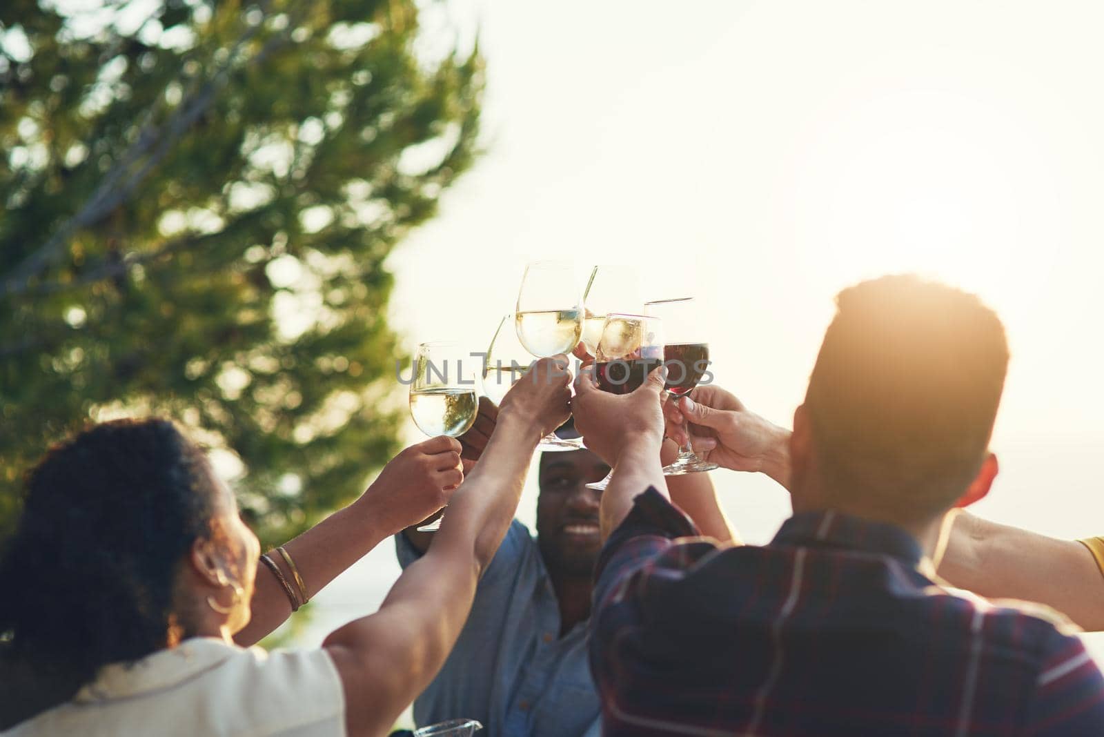 Shot of a group of friends raising up their glasses for a toast while sitting around a table together outdoors.
