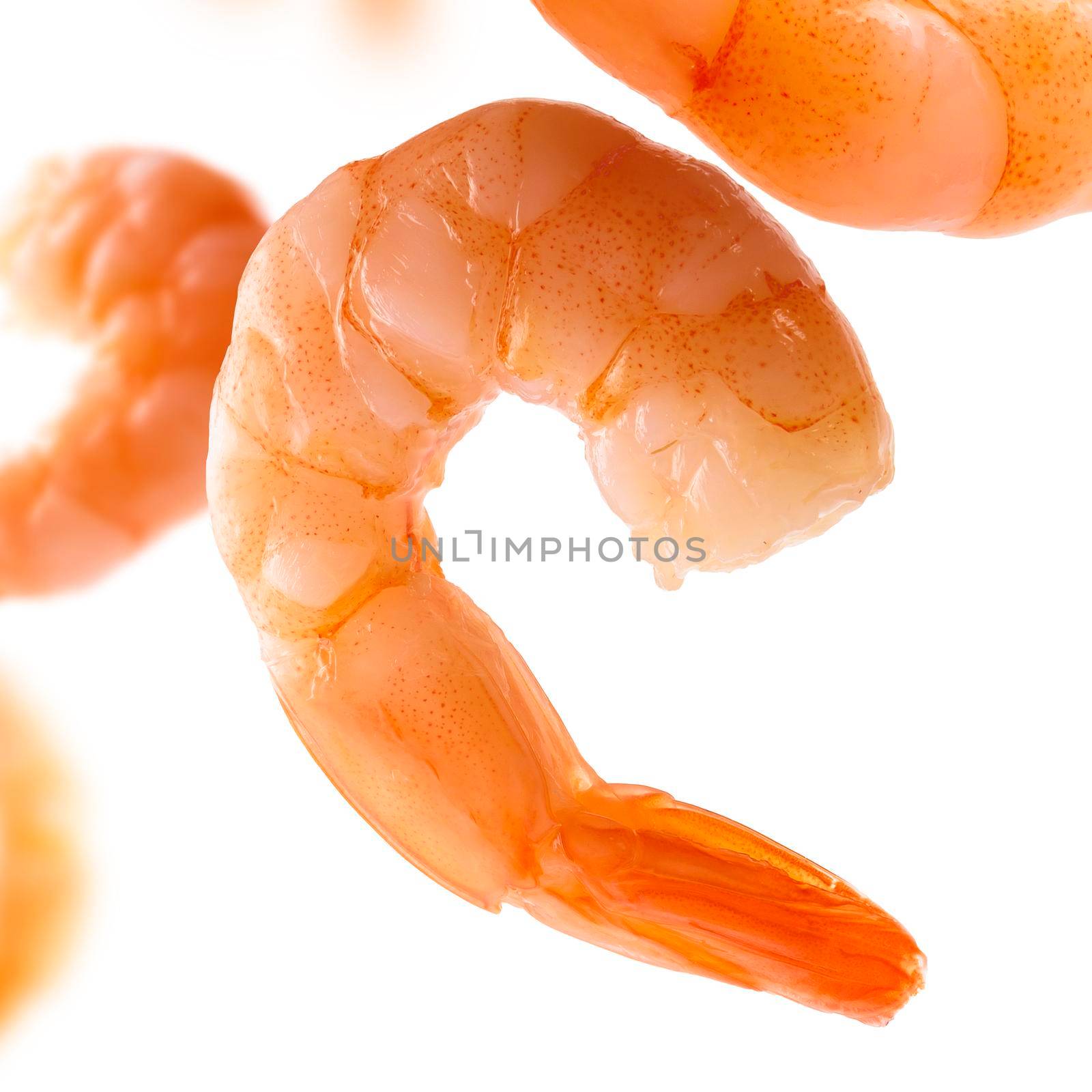 Boiled prawns levitate on a white background.