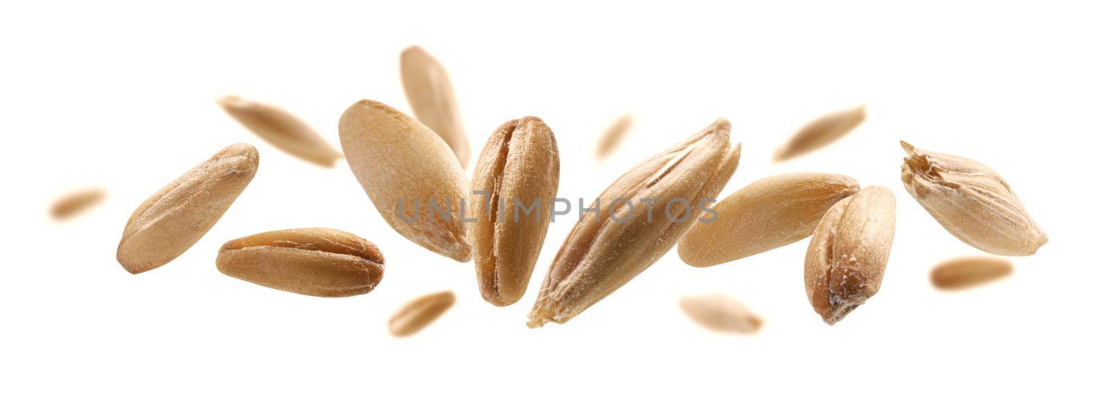 Oat grains levitate on a white background by butenkow