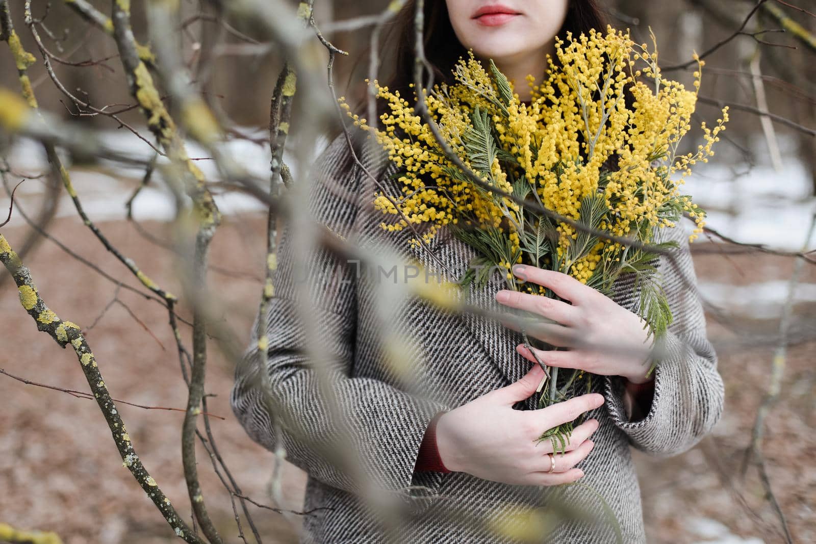 Woman holding bouquet of spring mimosa flowers on nature background.