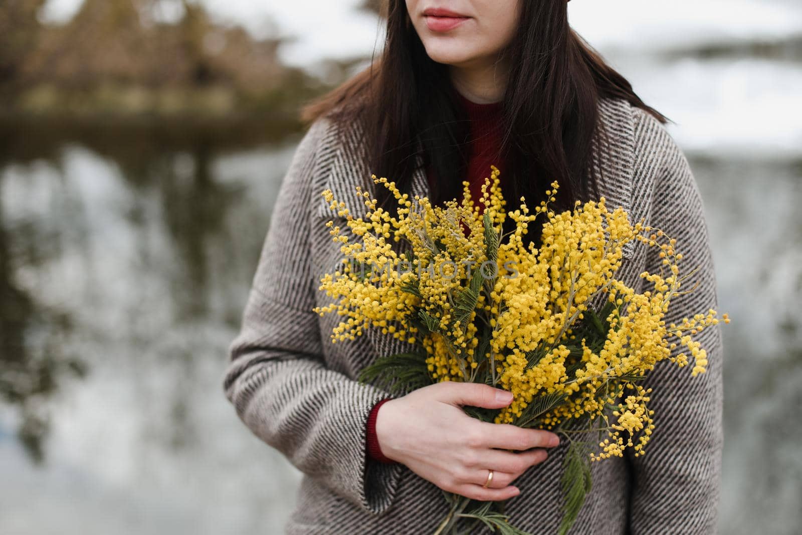 Woman holding bouquet of spring mimosa flowers on nature background.