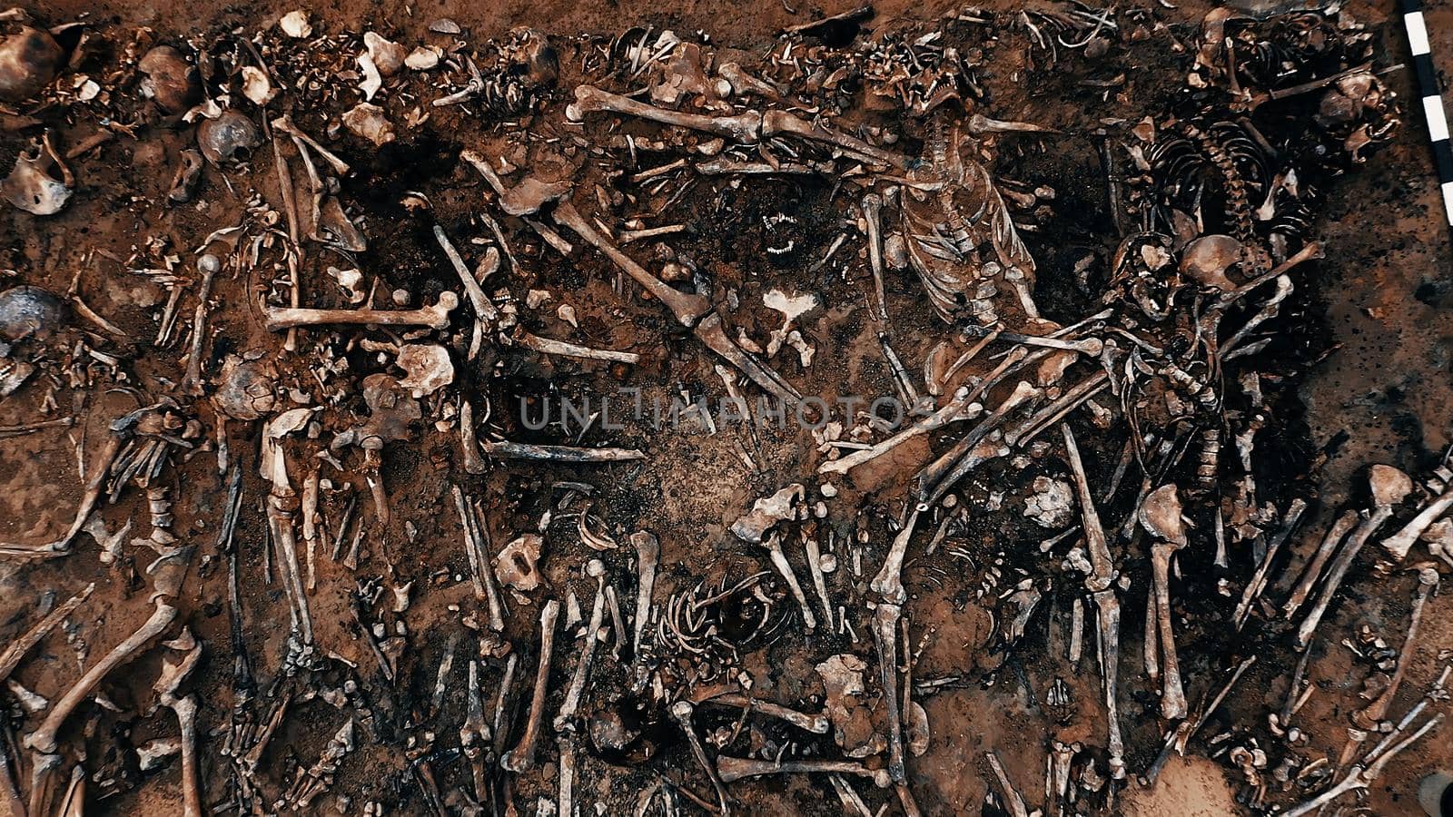 Archaeological excavations, Human remains in the ground. War crime scene. Site of a mass shooting of people. Human remains - bones of skeleton, skulls by EvgeniyQW