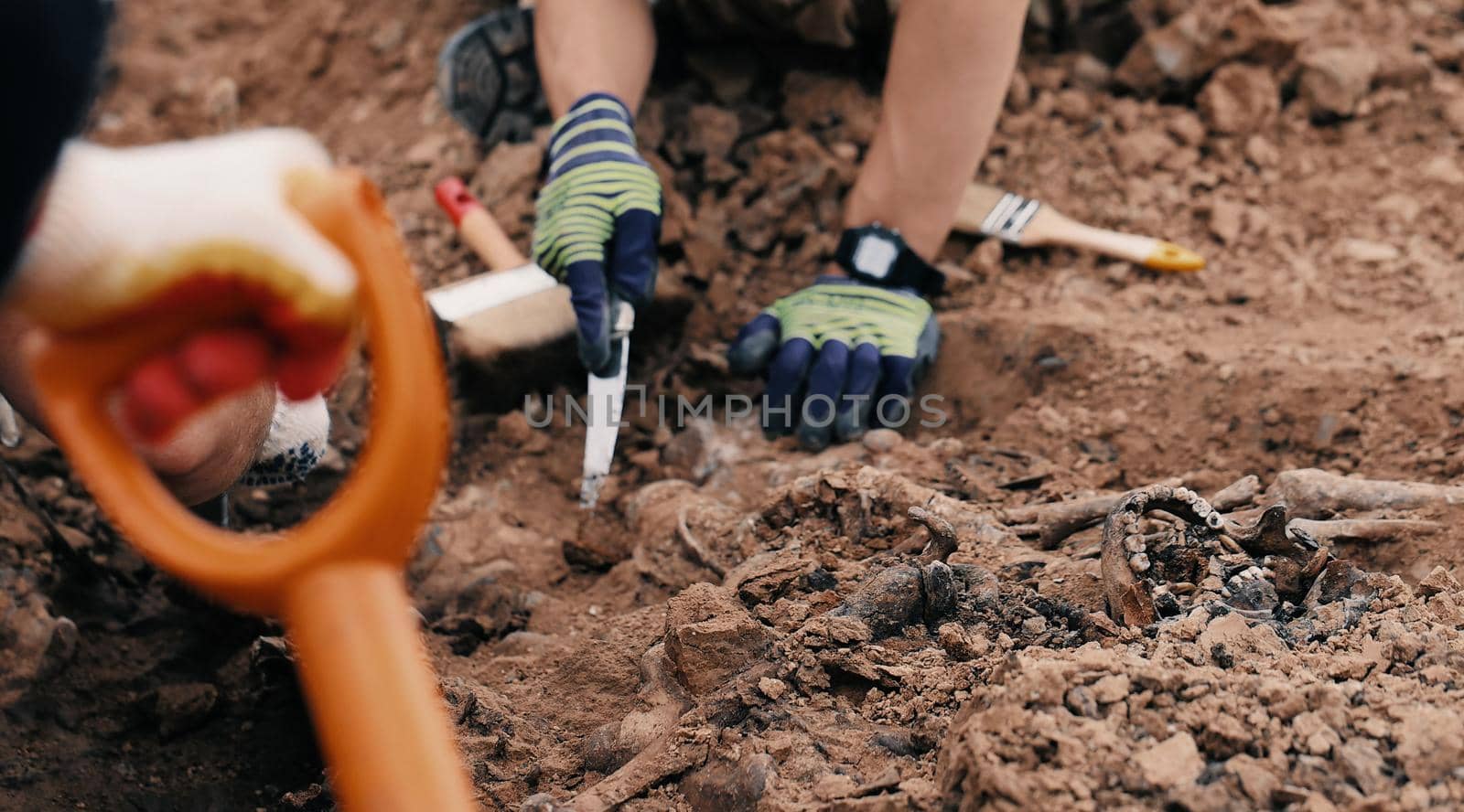 Archaeological excavations at the crime scene, Human remains in the ground. War crime scene. Site of a mass shooting of people. Human remains - bones of skeleton, skulls.