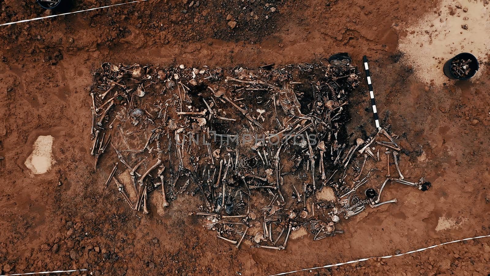 Archaeological excavations at the crime scene, Human remains in the ground. War crime scene. Site of a mass shooting of people. Human remains - bones of skeleton, skulls by EvgeniyQW