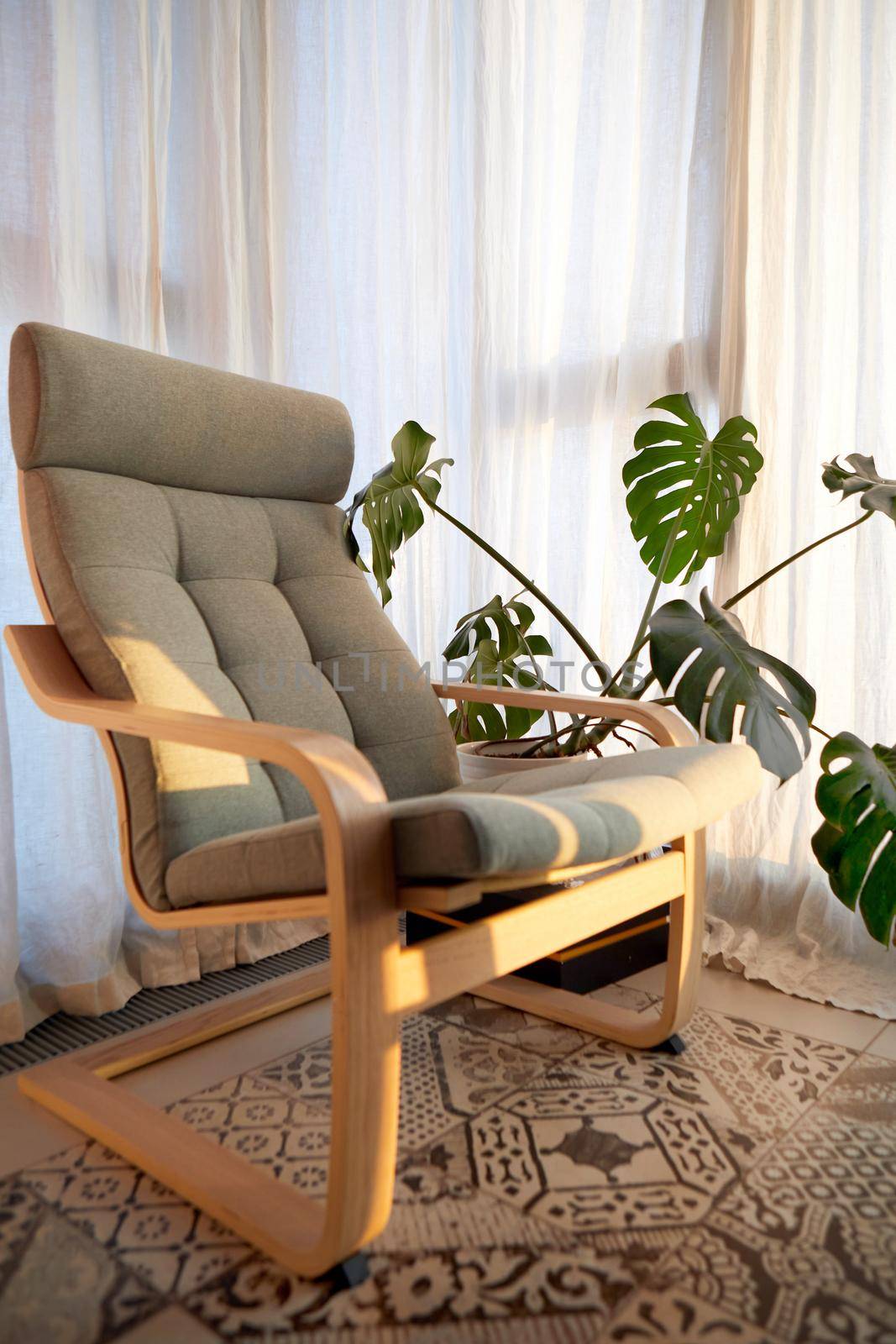 Cozy armchair and potted exotic plant placed near window daylight by Demkat