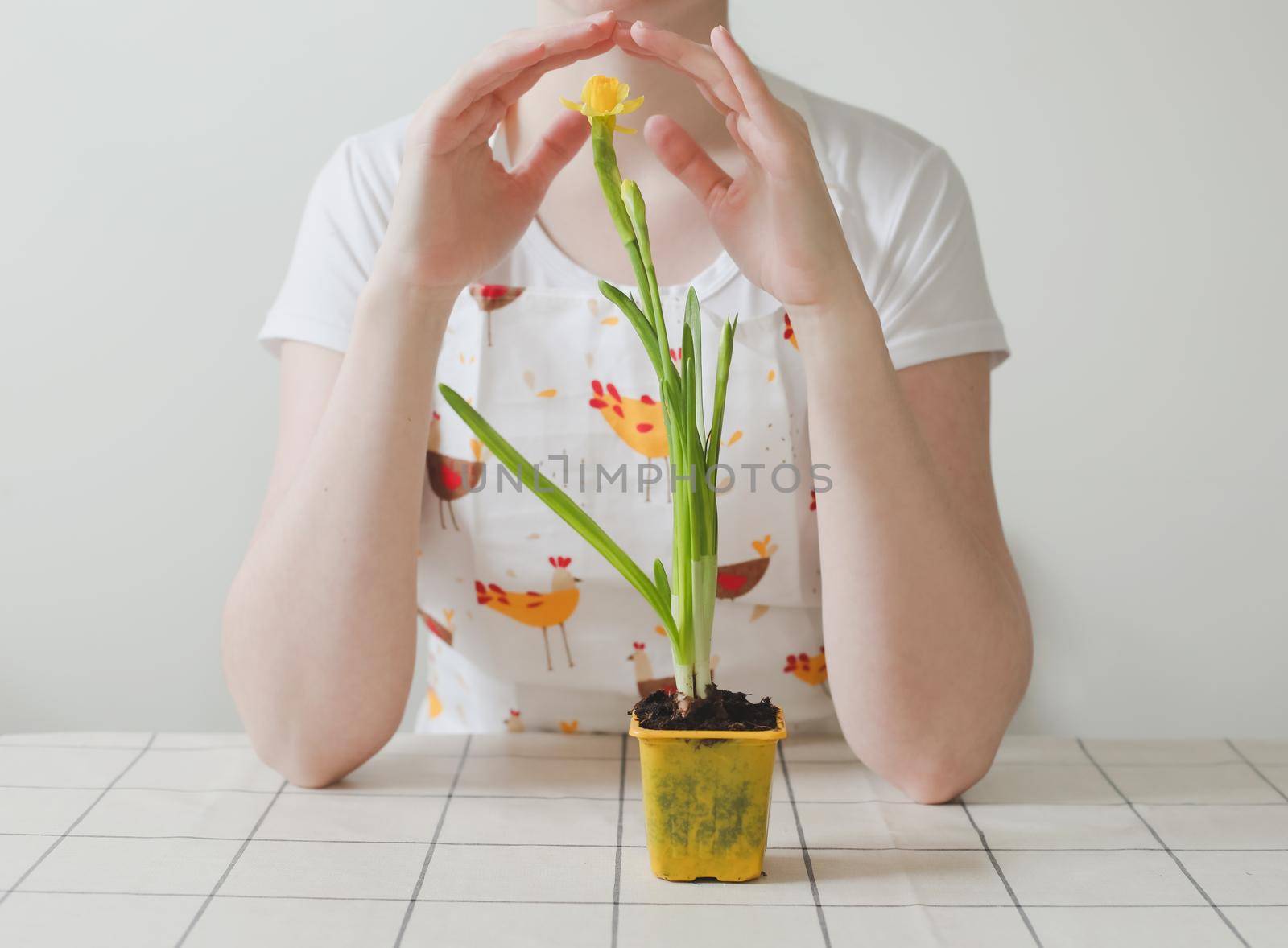 housewife woman in apron with flower in pot. Gardening, holidays, Spring and Easter concept