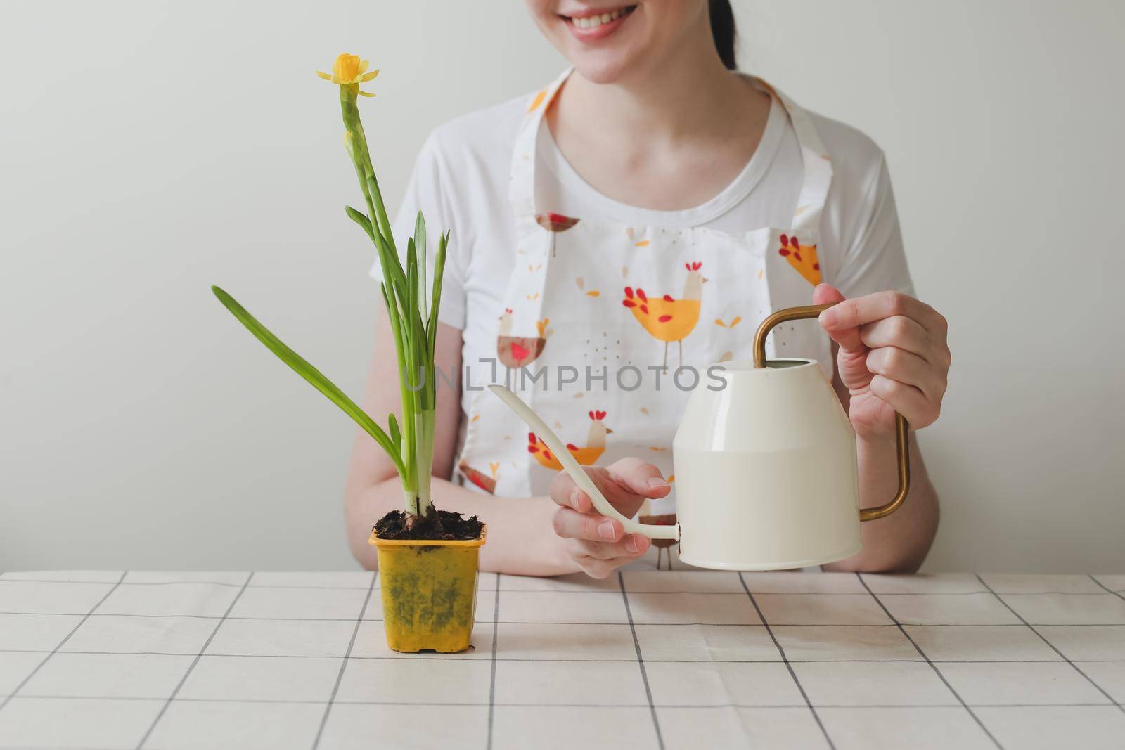 lovely housewife woman in apron with flower in pot. Gardening, holidays, Spring and Easter concept