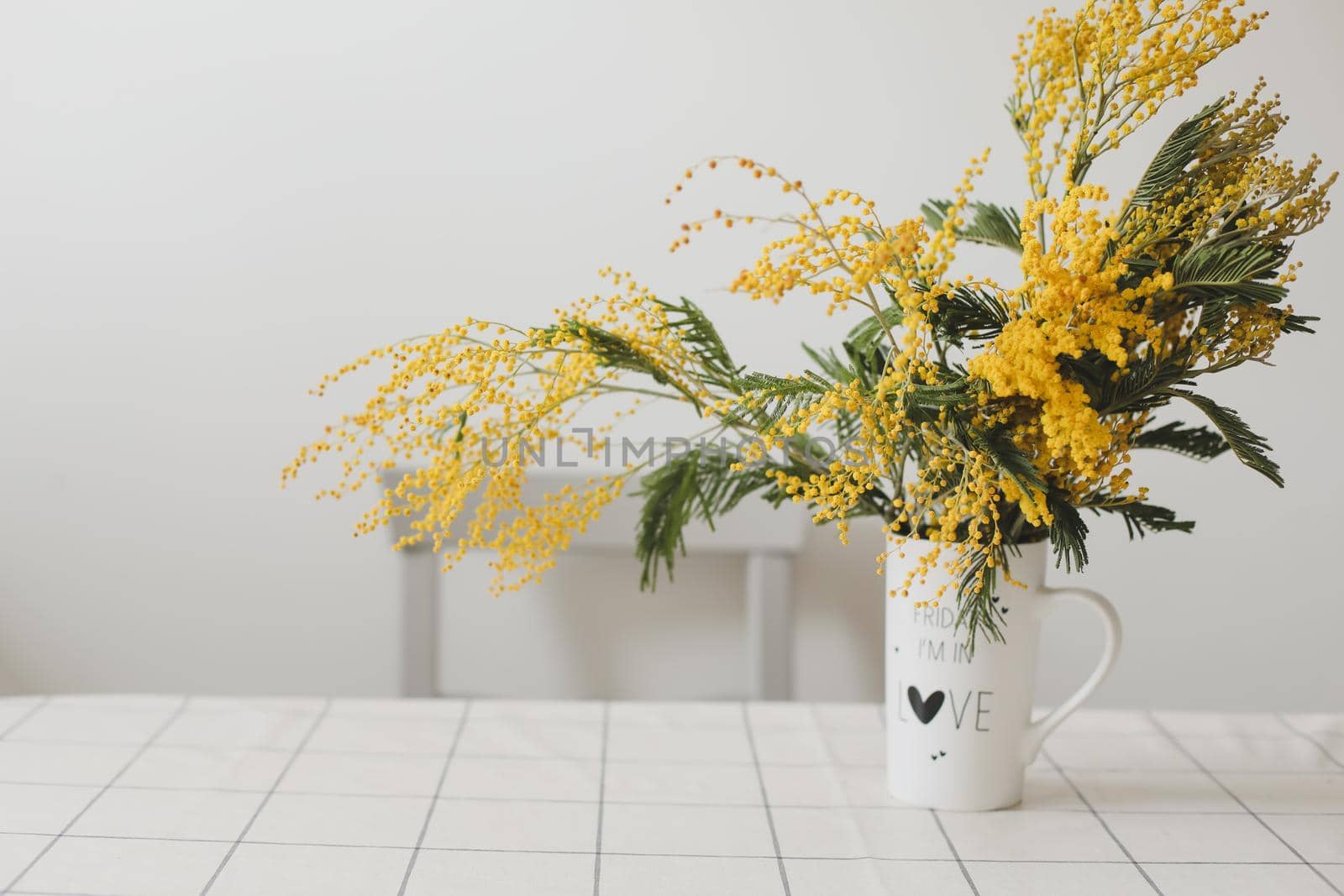 Bouquet of yellow mimosa flowers in a vase on a white background.