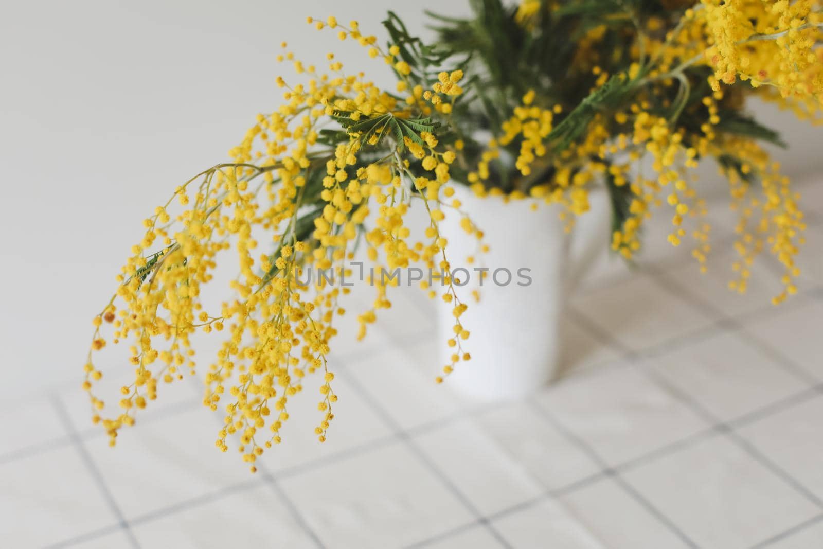 Mimosa bouquet. Branch of yellow mimosa in a white cup on a white background top view.