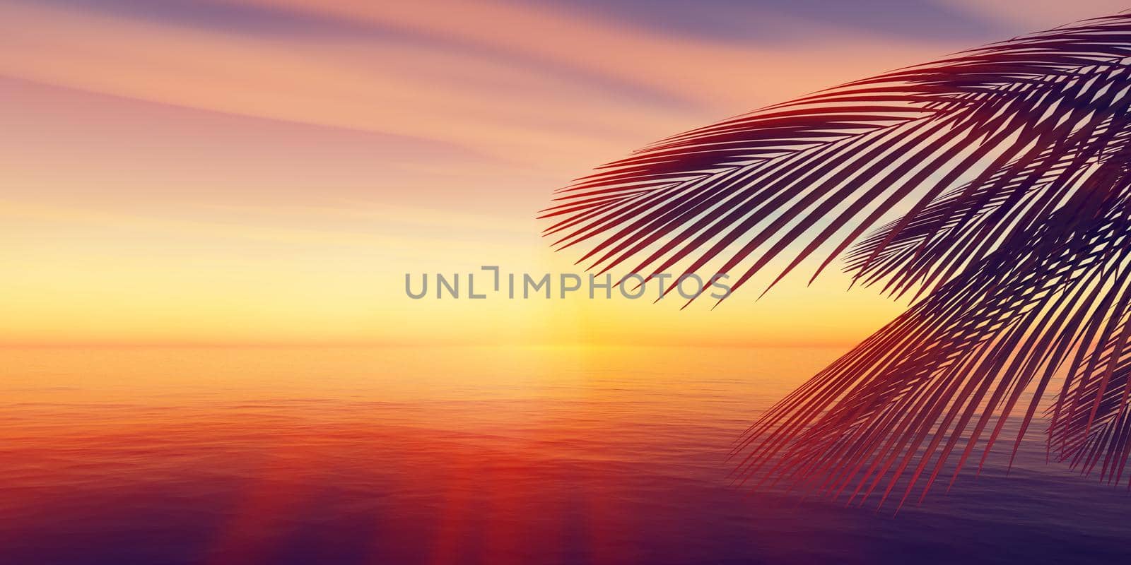 sunset sea palm landscape illustration by alex_nako