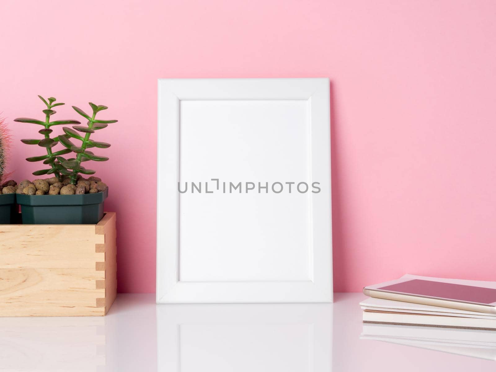 Blank white frame and plant cactus on a white table against the pink wall with copy space. Mockup with copy space. by NataBene