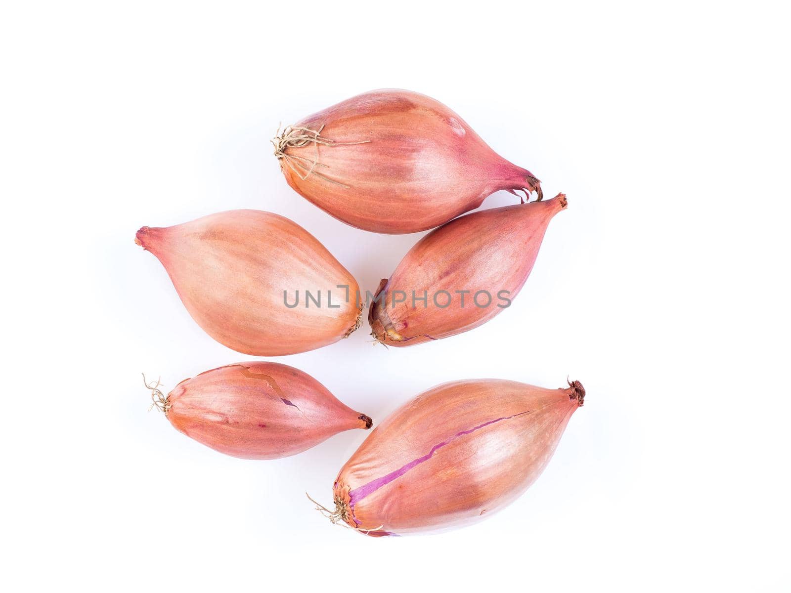 shallots onion on white background, bulbs, top view by NataBene