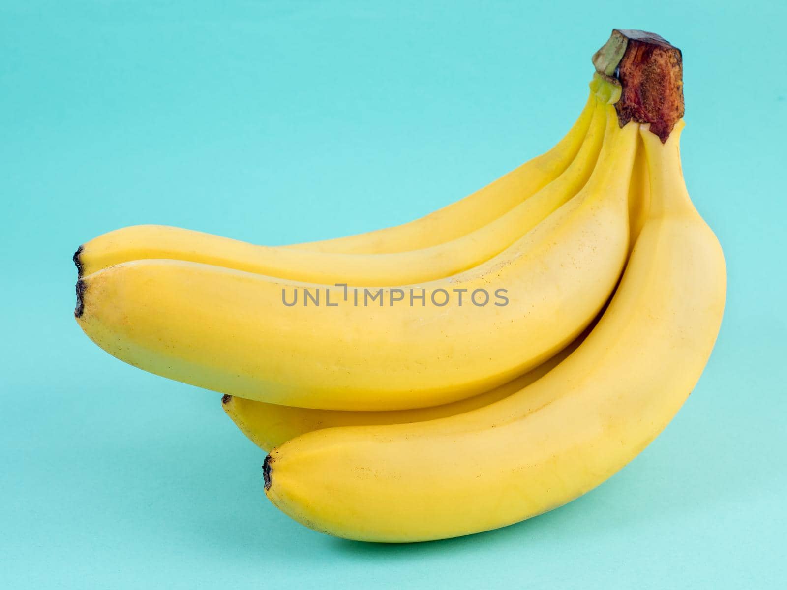 big bunch of ripe yellow bananas on bright blue background