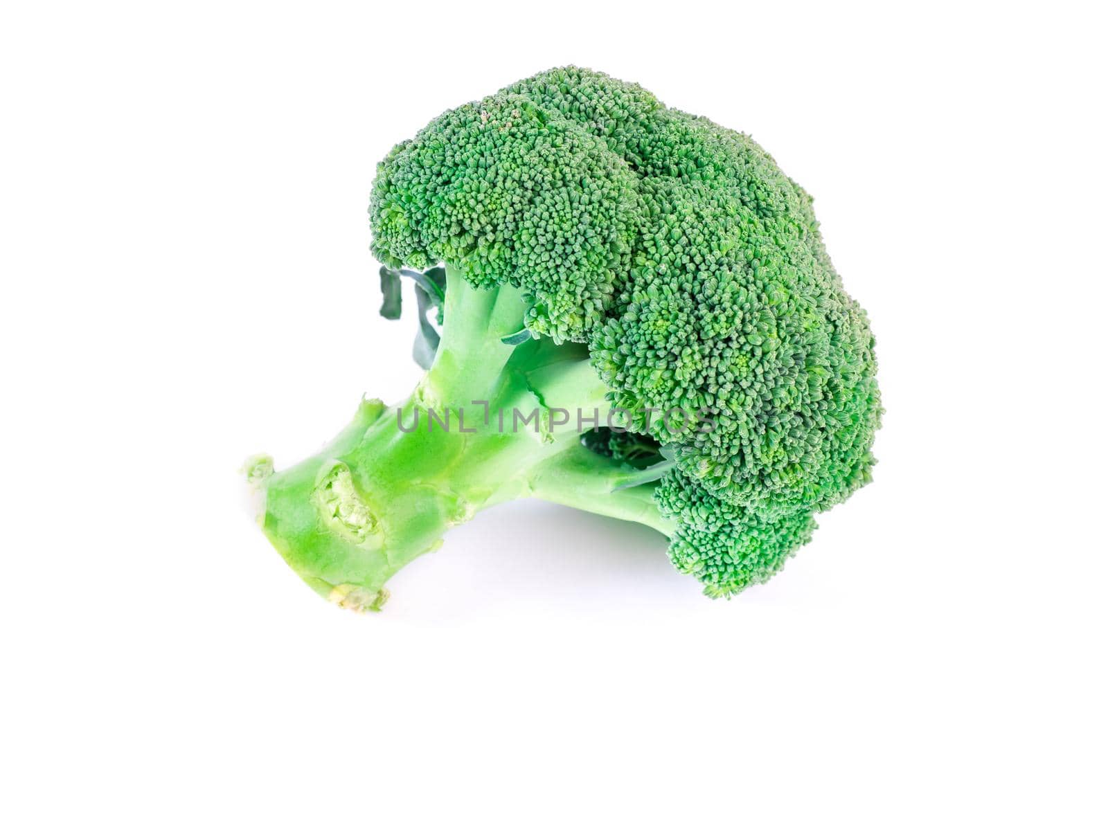 head of broccoli isolated on white background