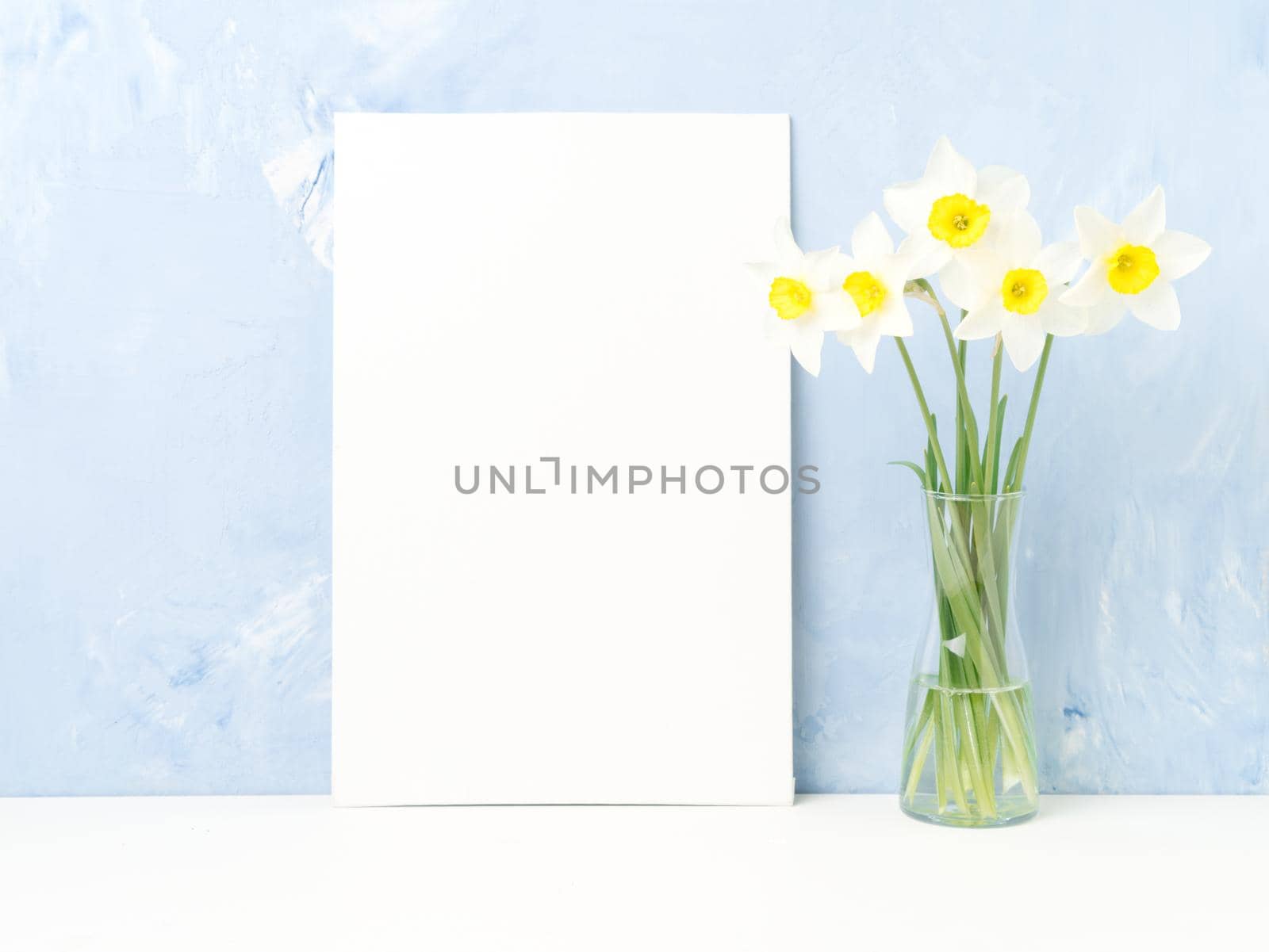 Bouquet of fresh flowers, blank paper, daffodils with a glass vase on a white table, opposite the blue textured concrete wall. Empty space for text.