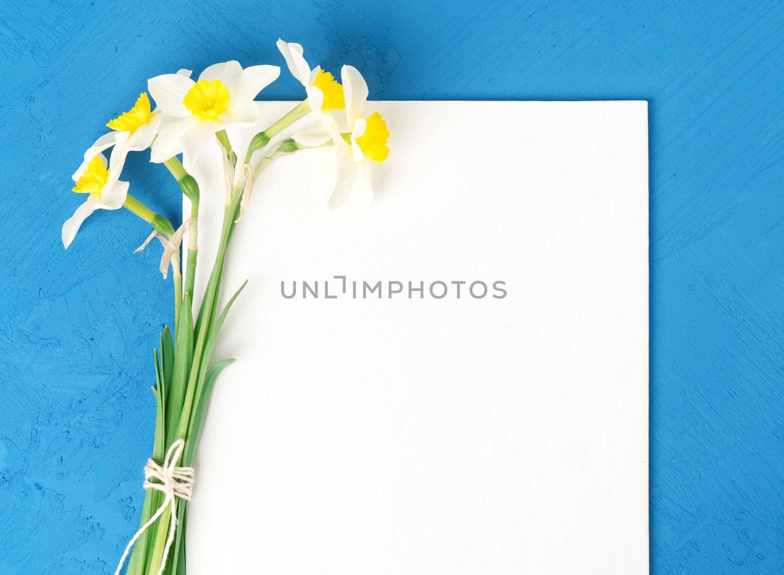 Bouquet of fresh flowers daffodils with blank white paper in blue textured concrete background. Empty space for text. Top view.