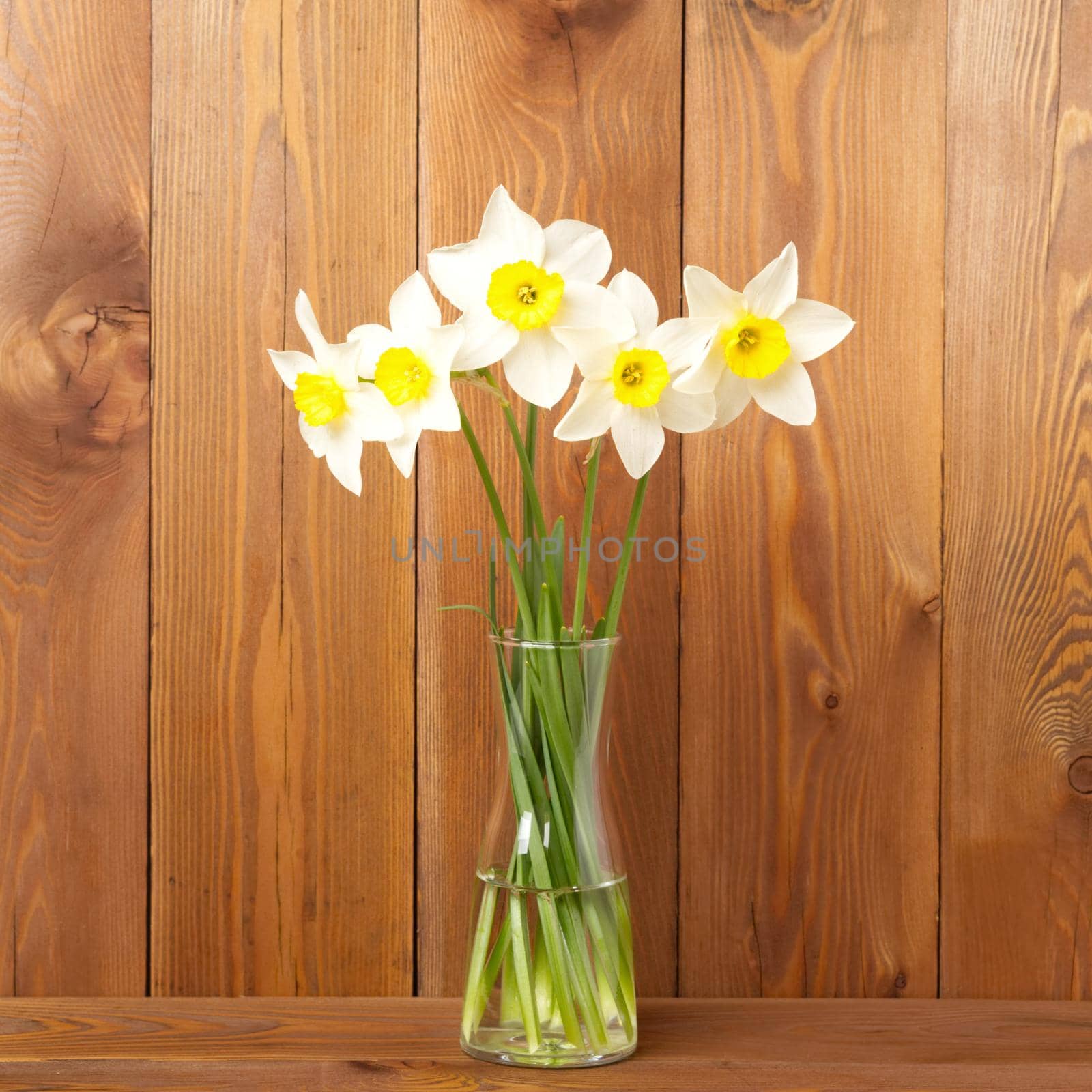Bouquet of fresh flowers, daffodils in vase in middle of wooden table, opposite brown wooden wall. Empty space for text. by NataBene
