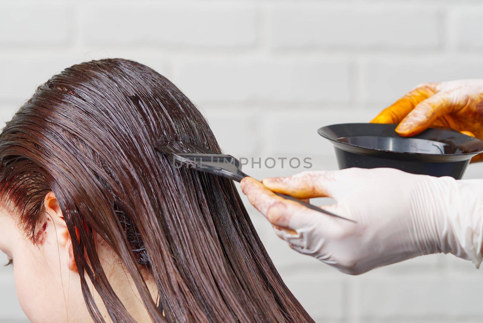 The hairdresser paints the woman's hair in a dark color, apply the paint to her hair. Getting beauty procedures. Barber hair dye is applied with a brush