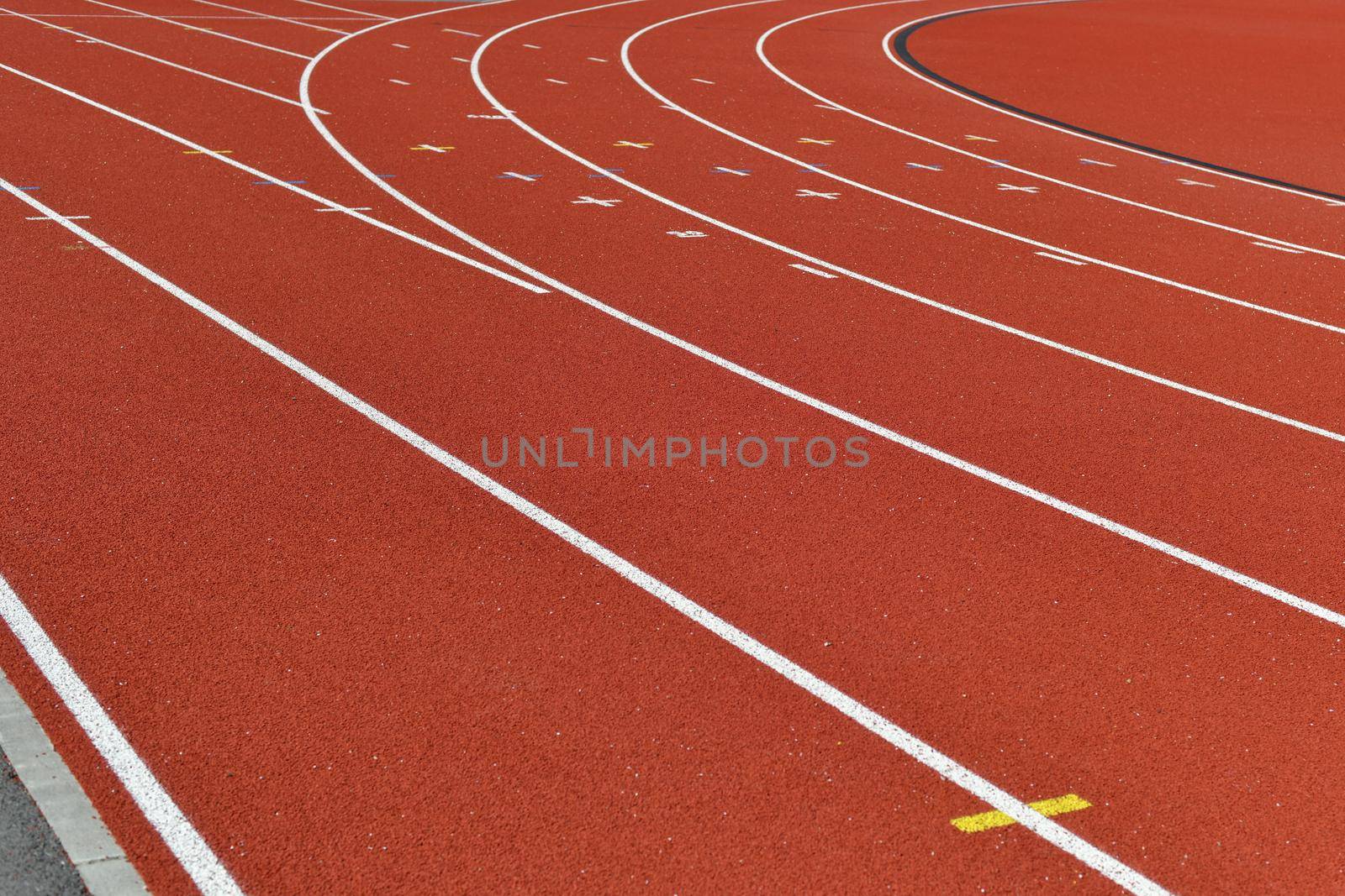 Treadmill at the sports stadium