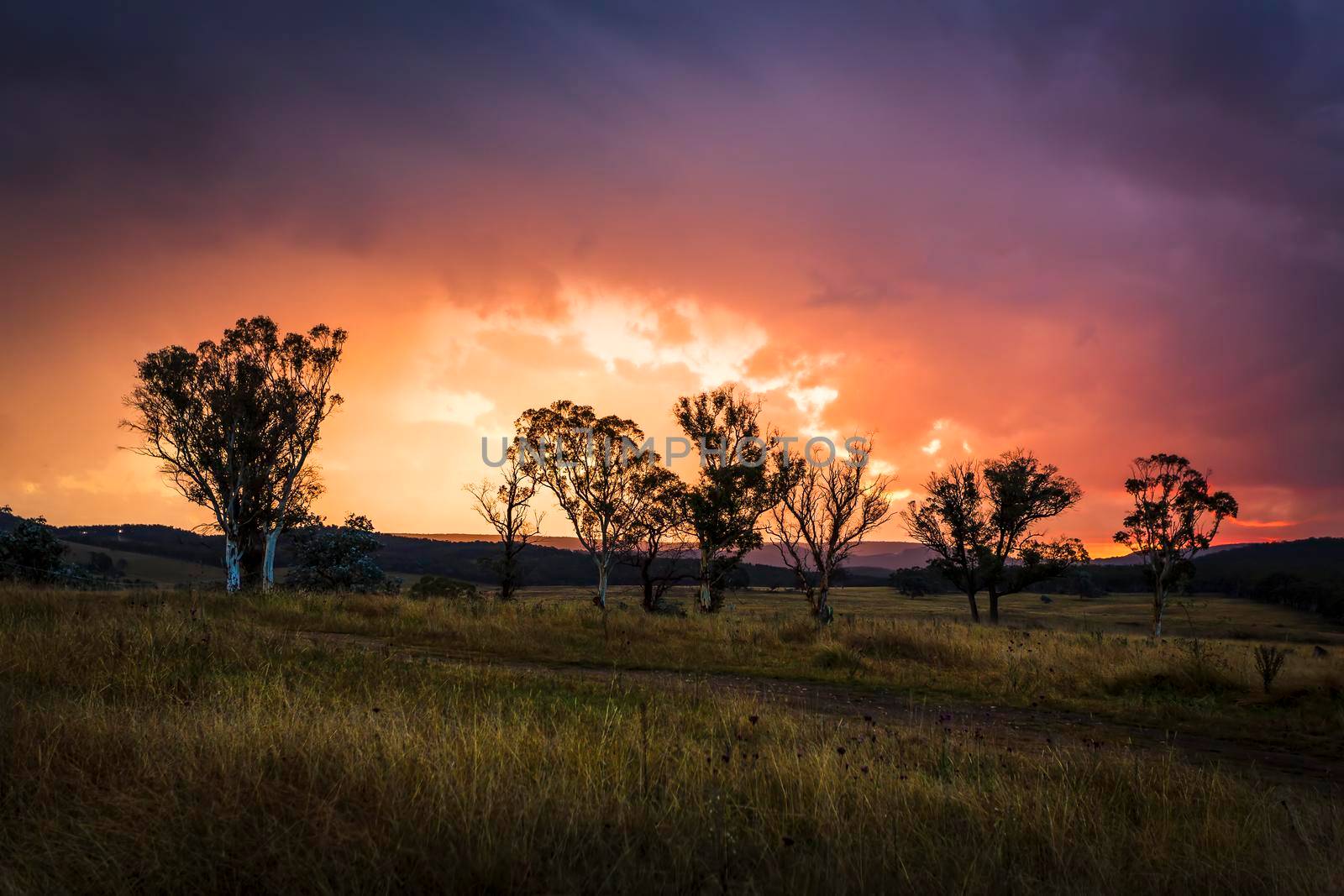 Sunset storm clouds over rural Australian countryside, with gum trees and undulating hills. A typical Australian view in rural areas