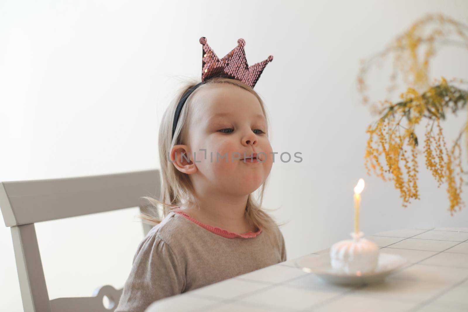 cute little girl blows out candle on a birthday cake at home. Child's birthday.