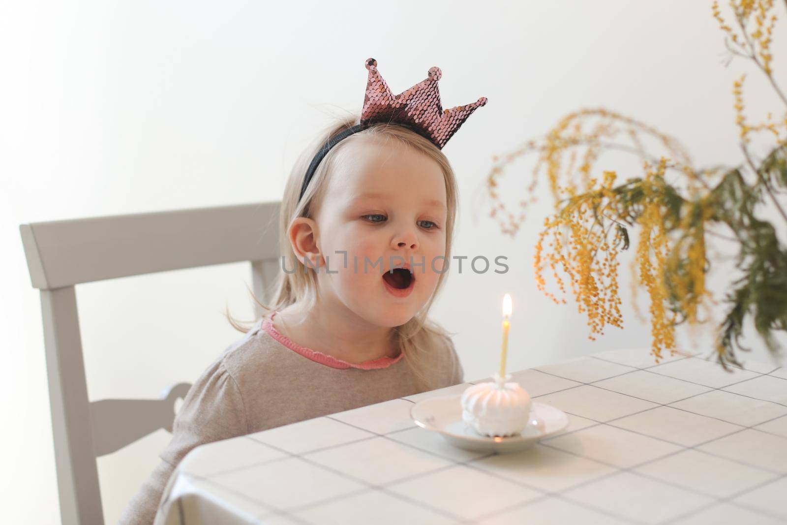 cute little girl blows out candle on a birthday cake at home. Child's birthday.