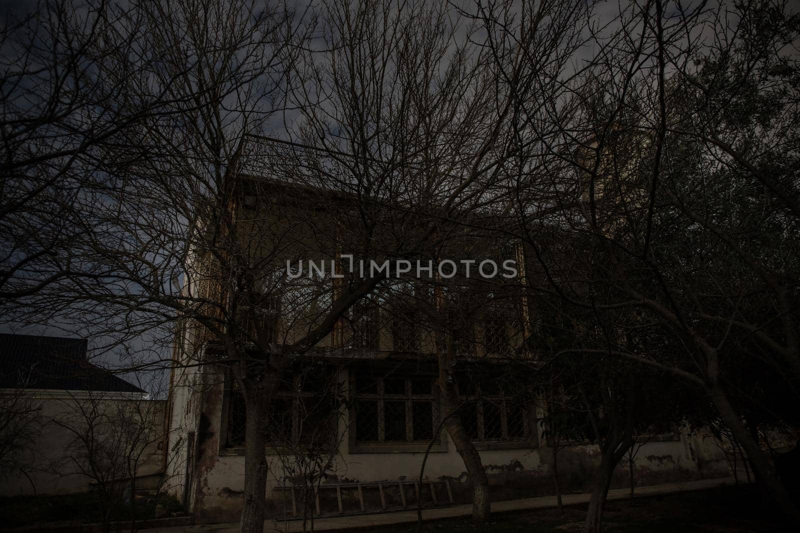 Old house with a Ghost in the forest at night or Abandoned Haunted Horror House. Old mystic building in dead tree forest. Surreal lights. Horror Halloween concept