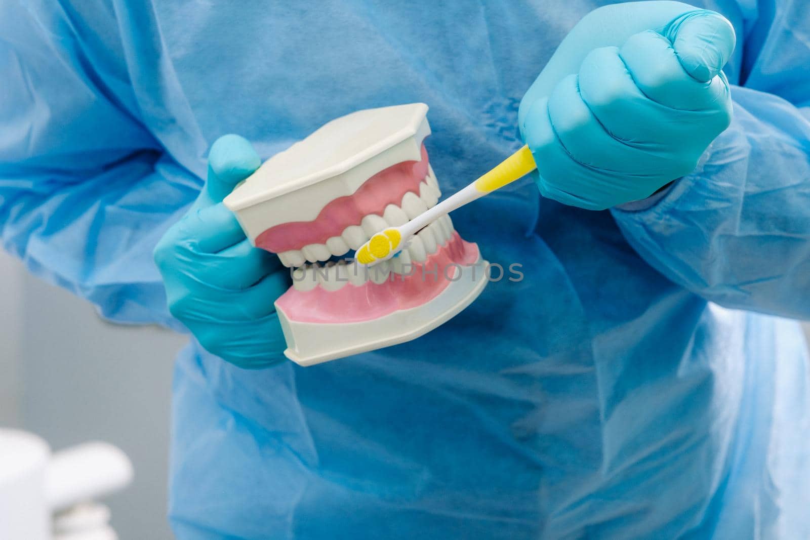 A model of a human jaw with teeth and a toothbrush in the dentist's hand.