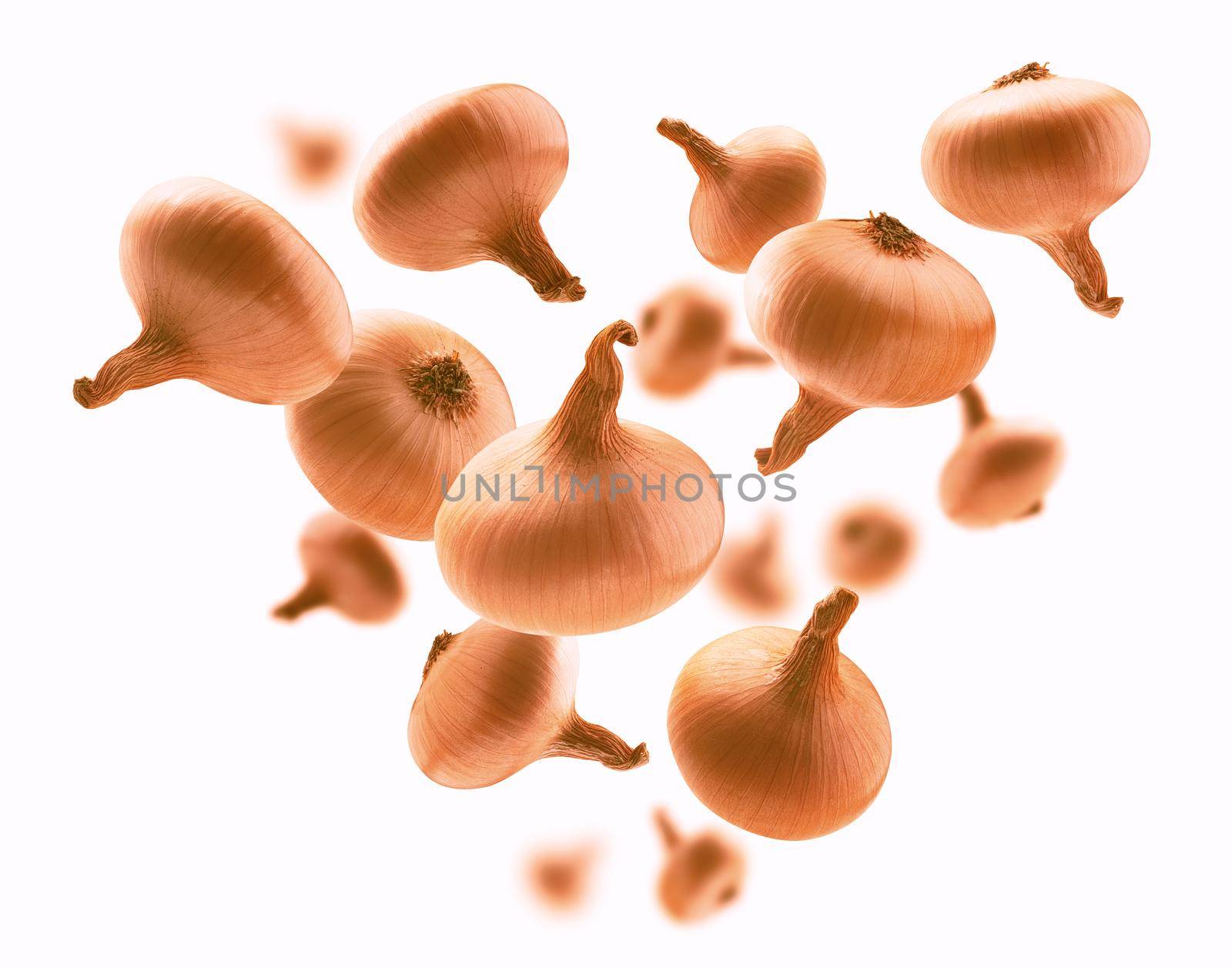 Ripe Golden onion levitates on a white background.