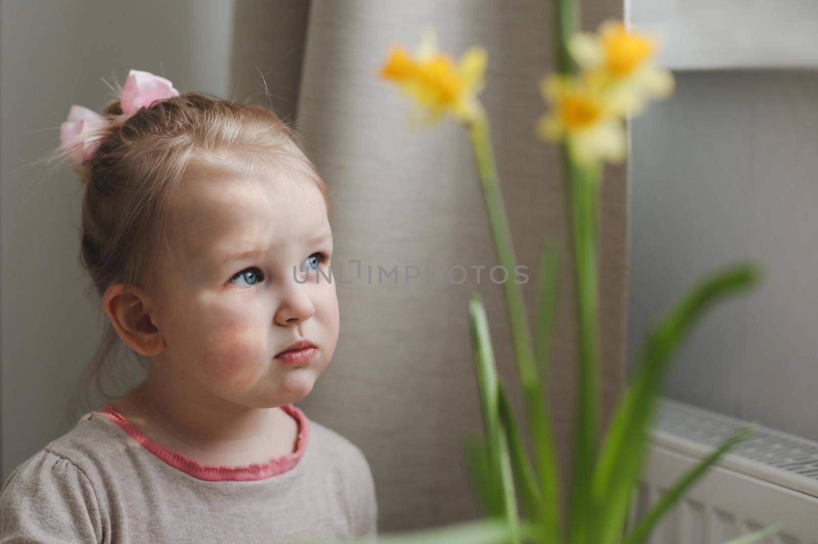 portrait of a little preschool girl with yellow spring daffodil flower at home