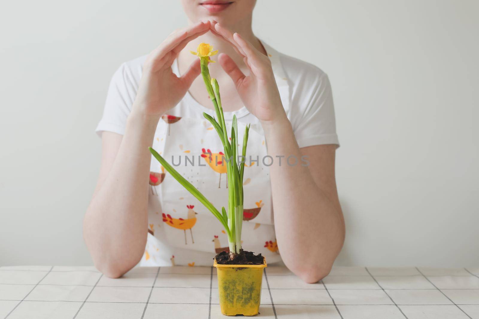 lovely housewife woman in apron with flower in pot. Gardening, holidays, Spring and Easter concept