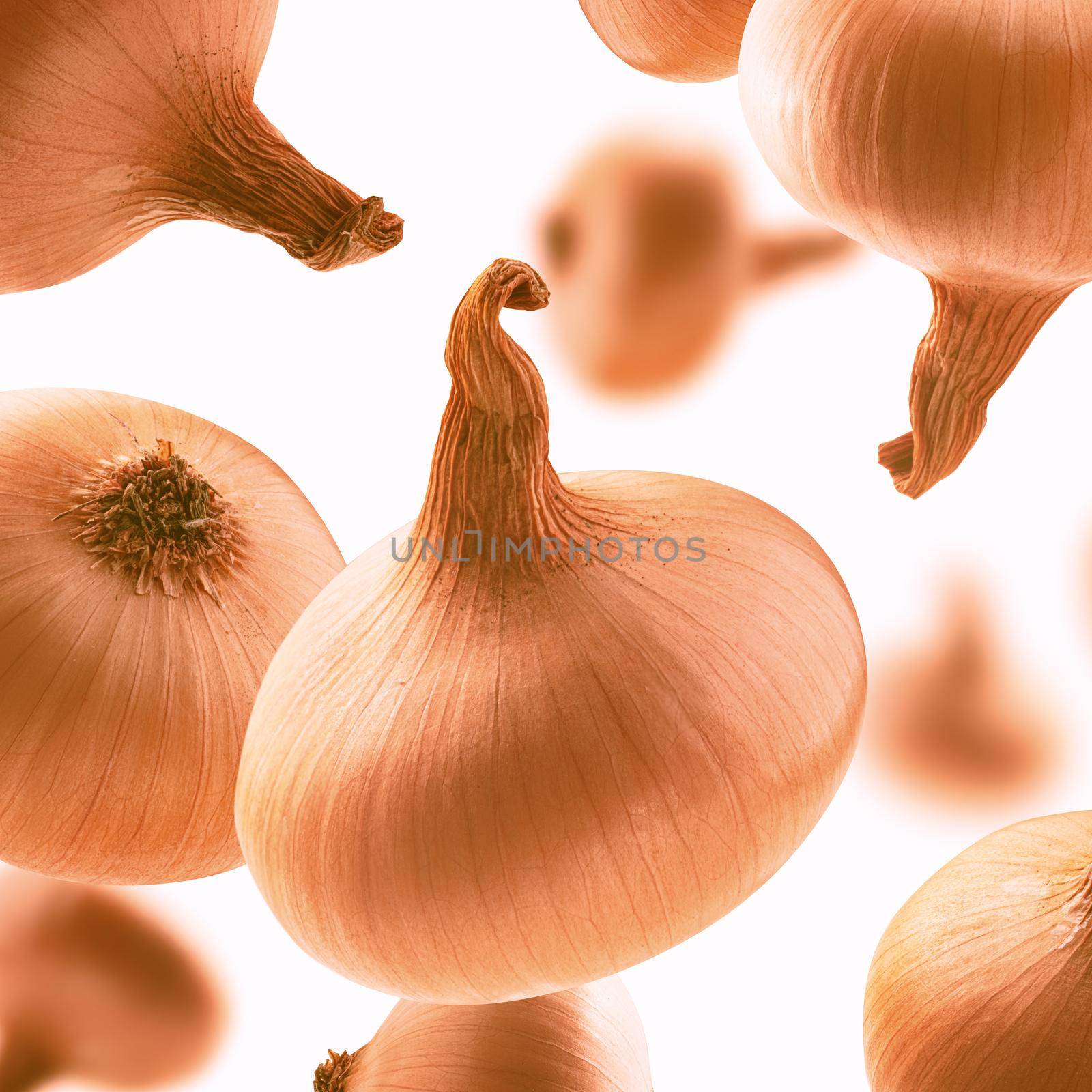 Ripe Golden onion levitates on a white background.