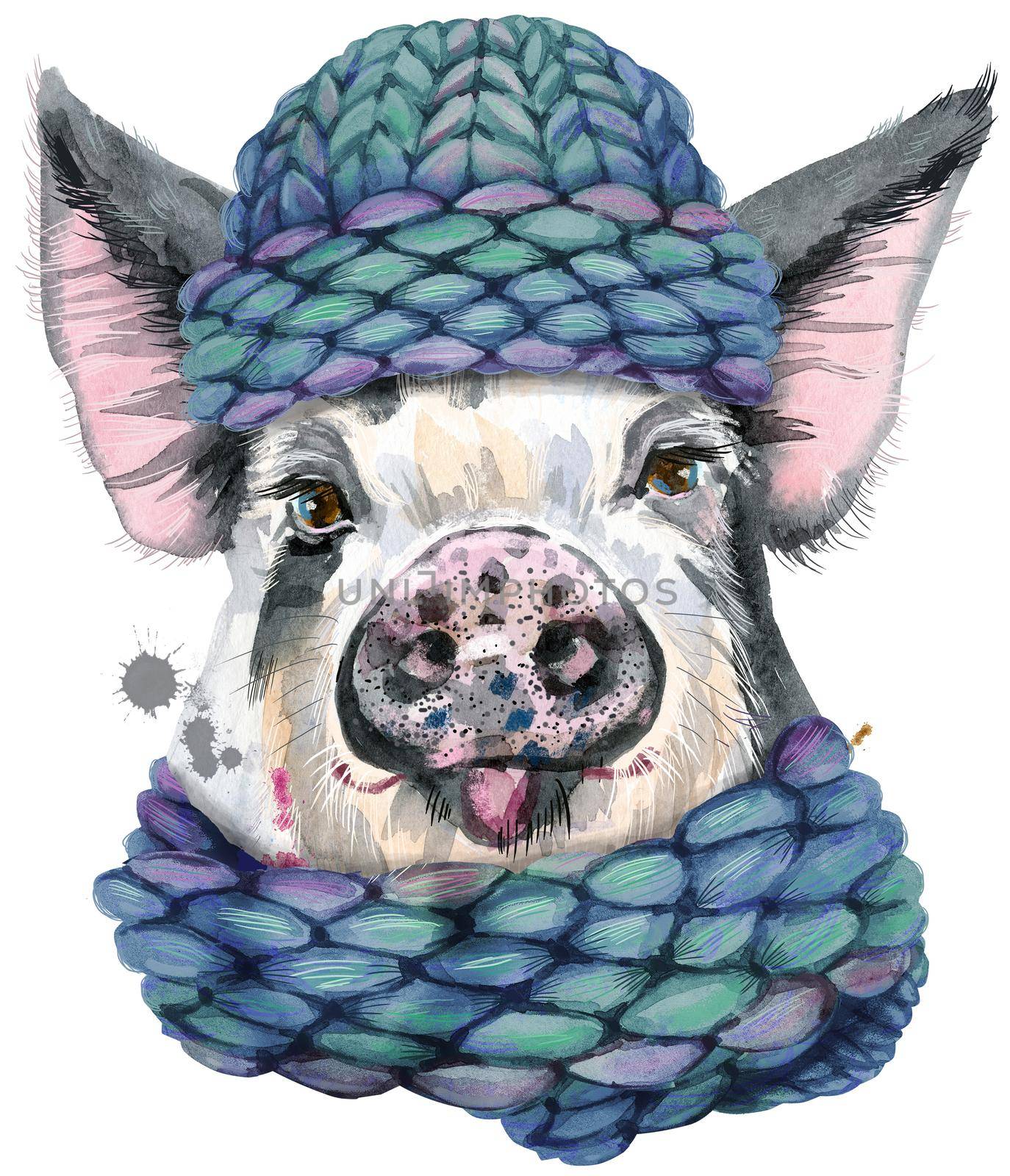 Cute piggy in winter blue knitted hat. Pig for T-shirt graphics. Watercolor pig in black spots illustration