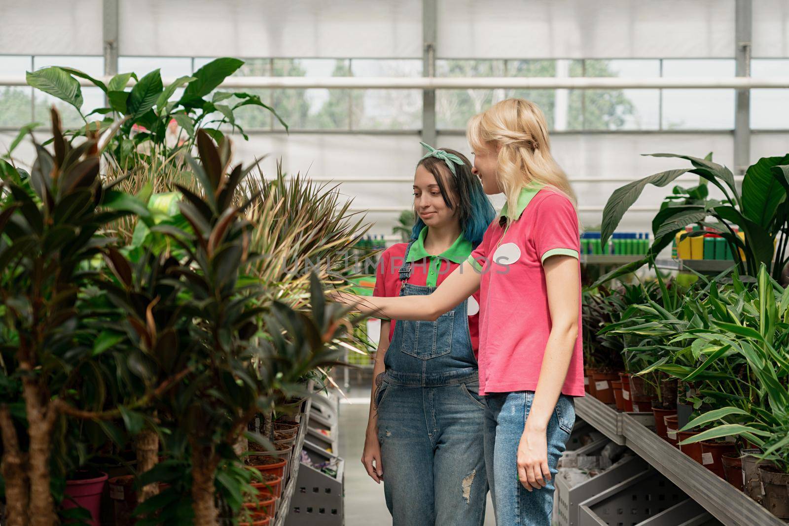 Two young female gardeners working in garden center arranging flowers