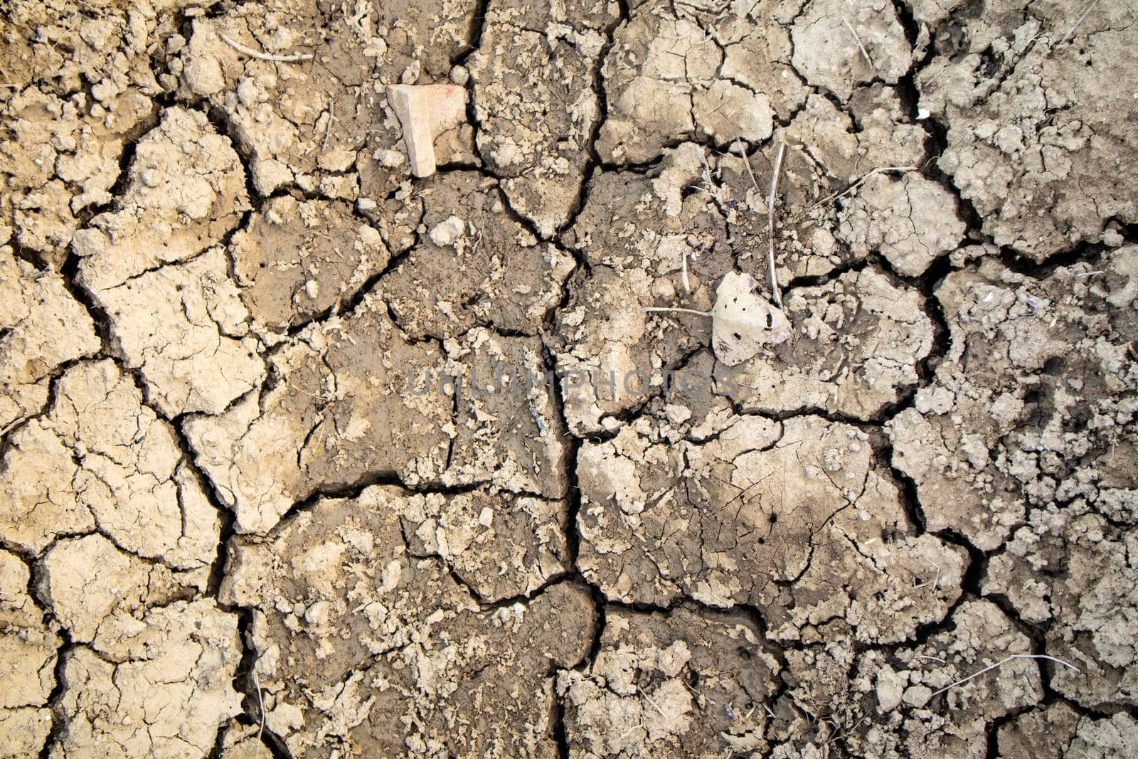 Cracks on very dry ground due to prolonged drought