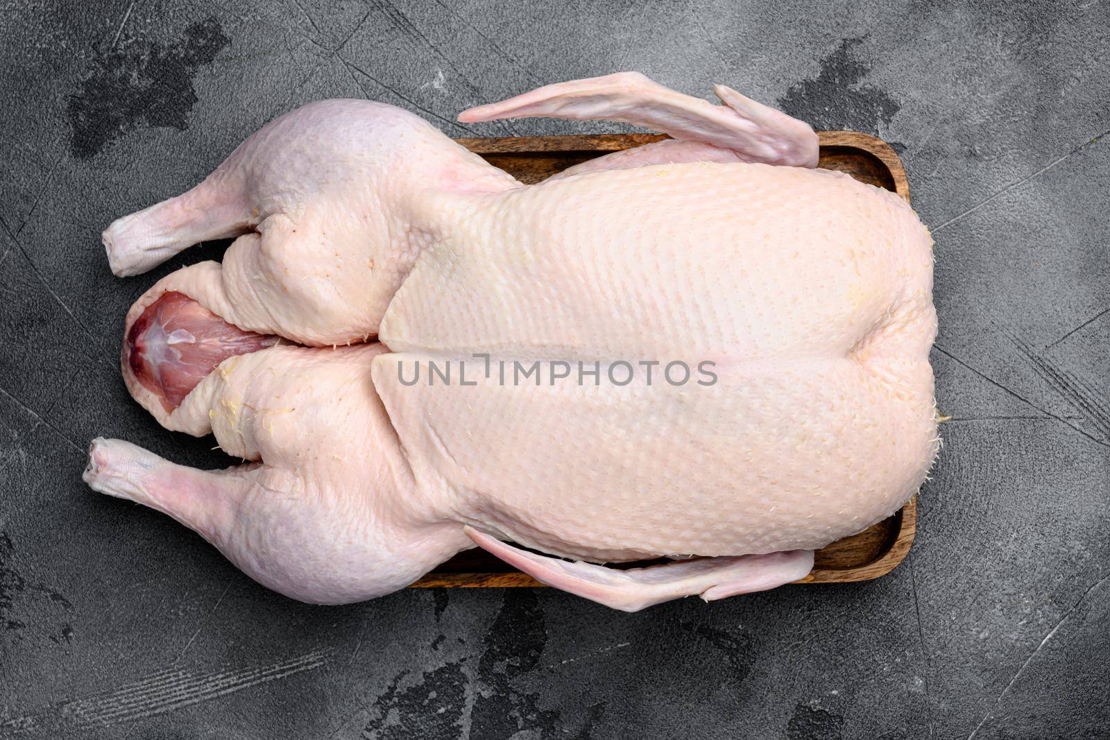 Raw whole goose, poultry meat set, on gray stone table background, top view flat lay