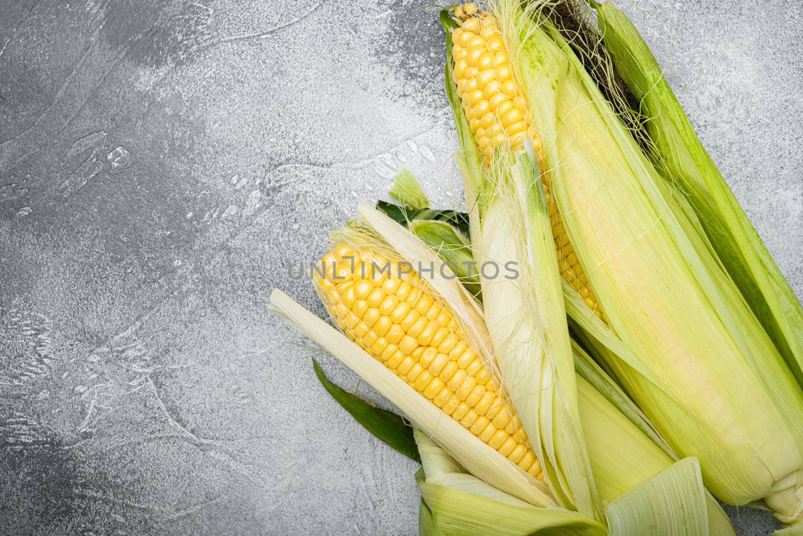 Ripe corn cob set, on gray stone table background, top view flat lay, with copy space for text