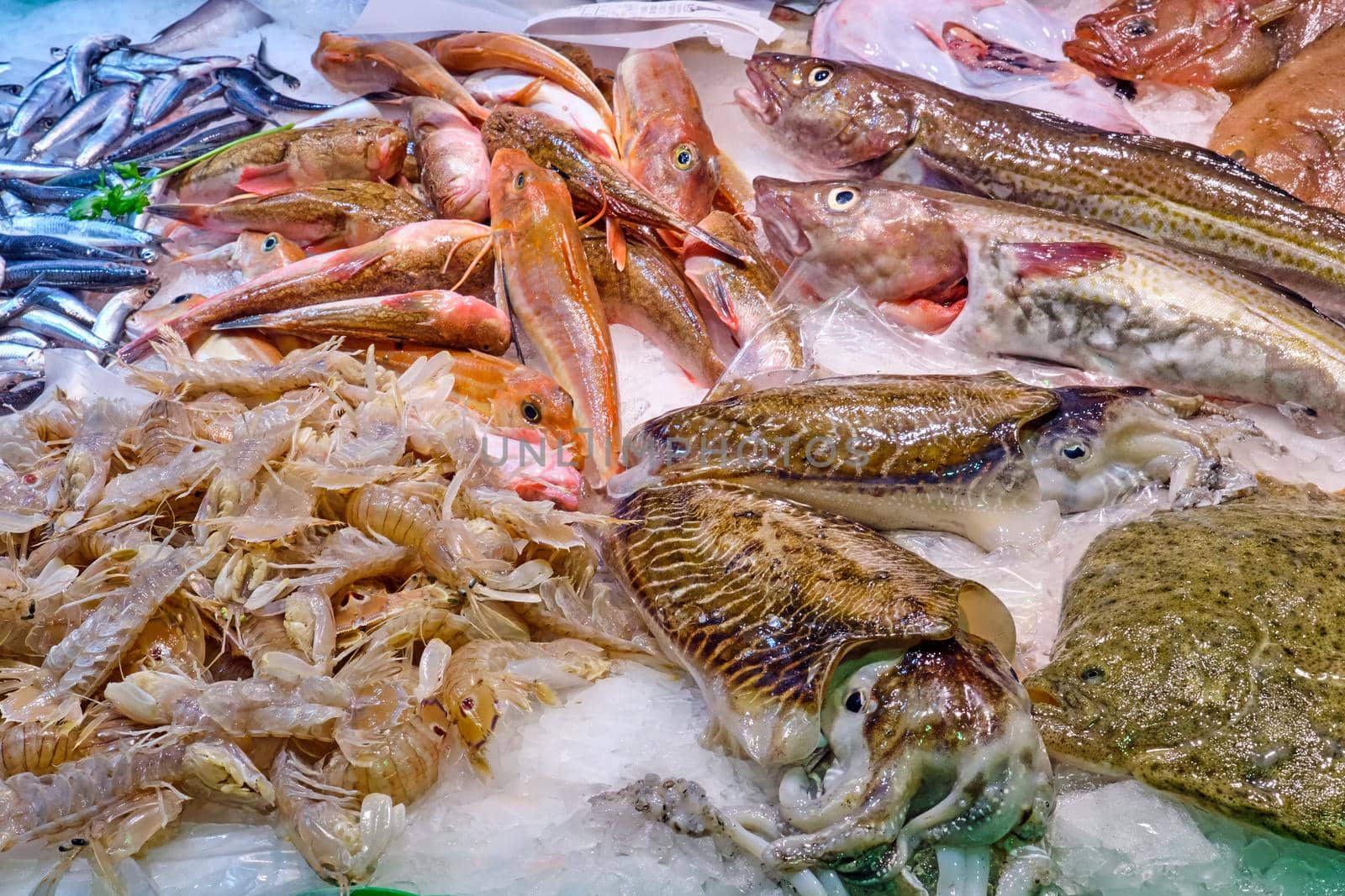 Fresh fish and seafood for sale seen at a market in Barcelona, Spain