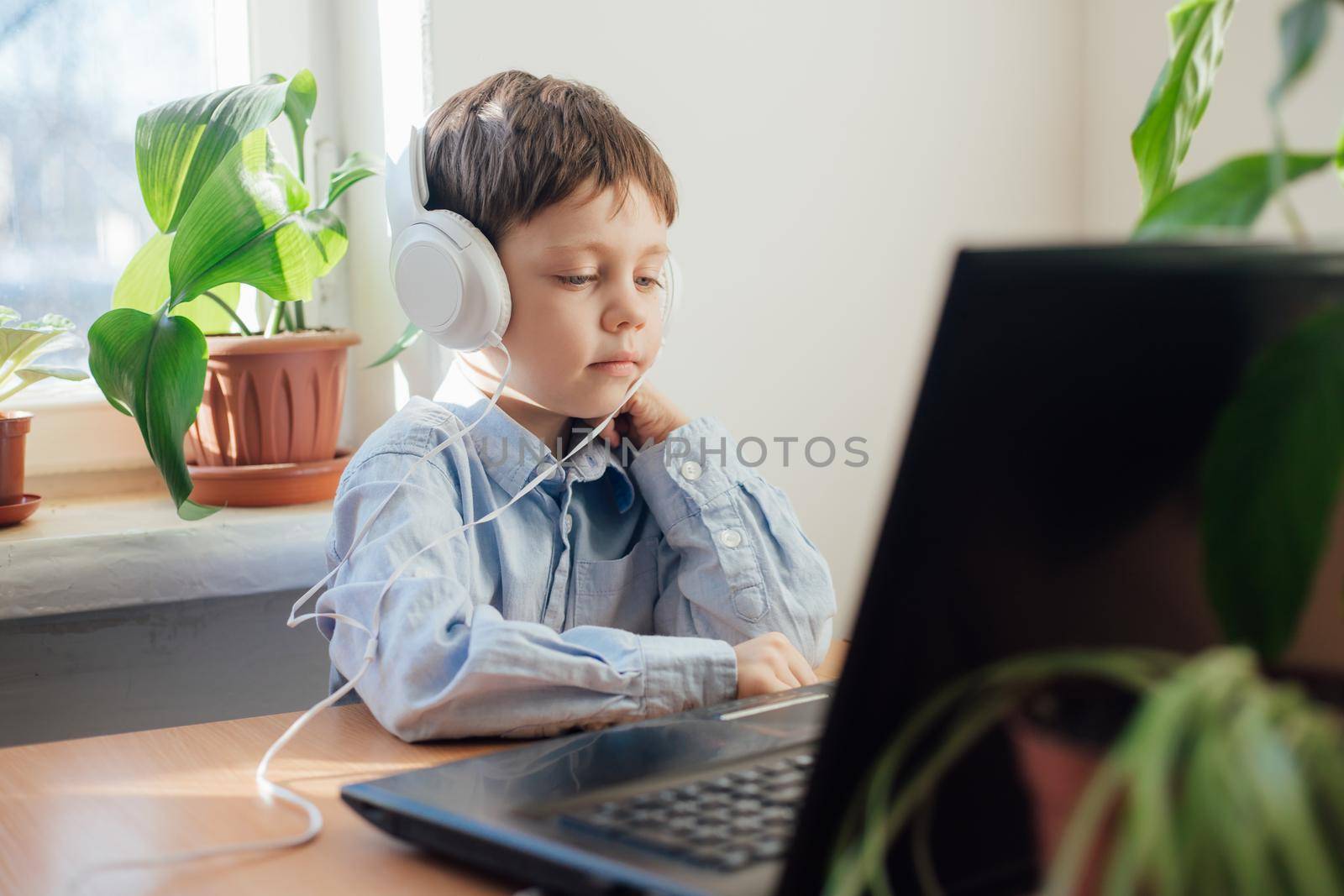 The boy is engaged in online education . Online training. Home schooling. A laptop. Child and technology. An article about the choice of education for a child. by alenka2194