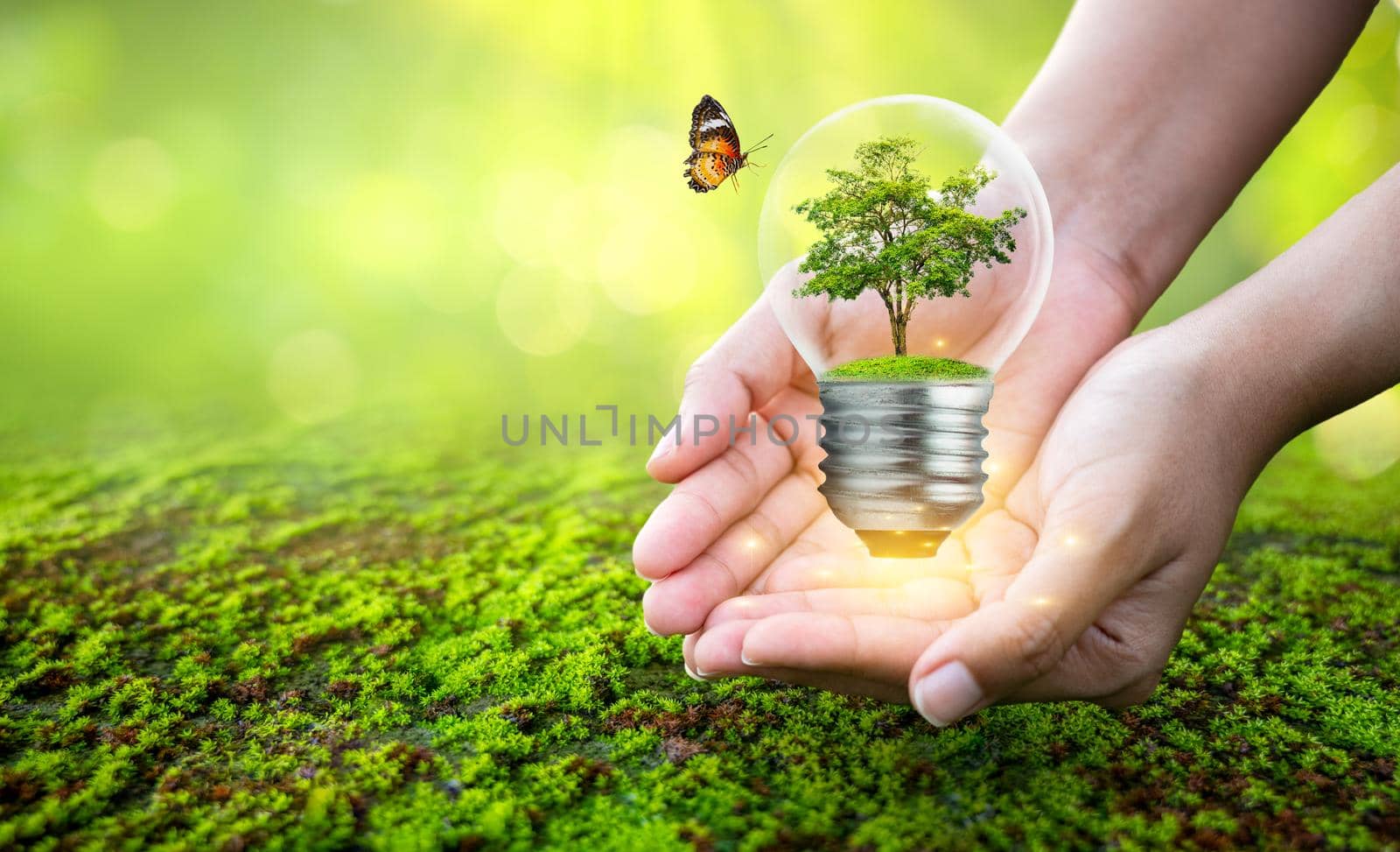 man holding light bulb with tree inside concept tree environmental conservation